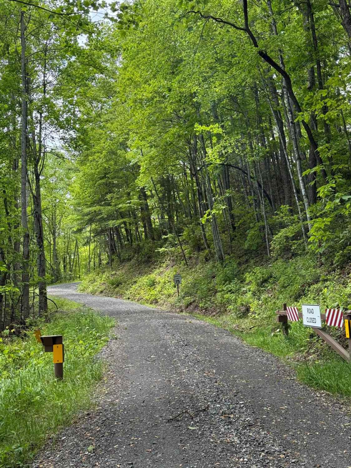 Wolf Creek Road 