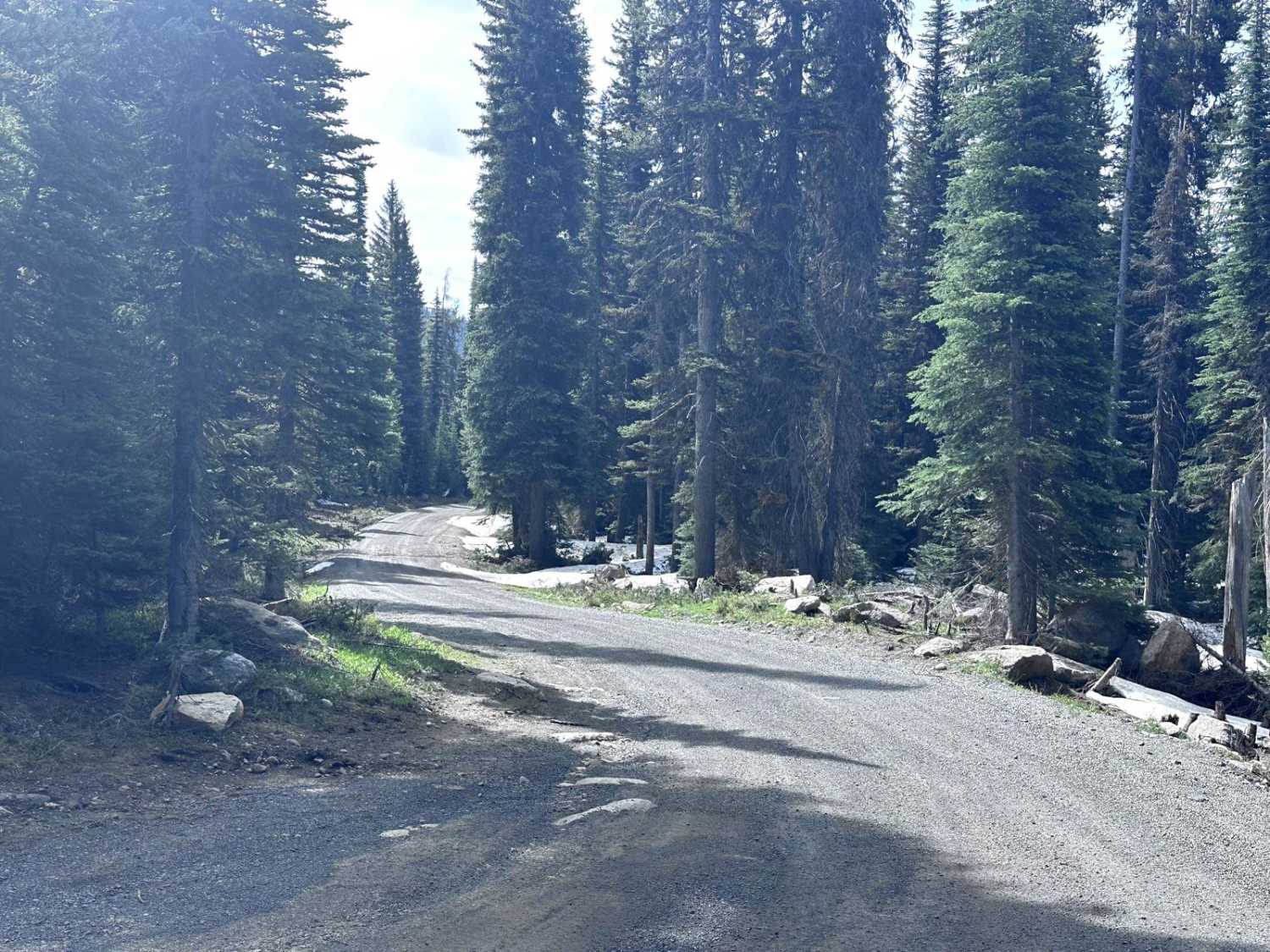 Meadows Goose Lake