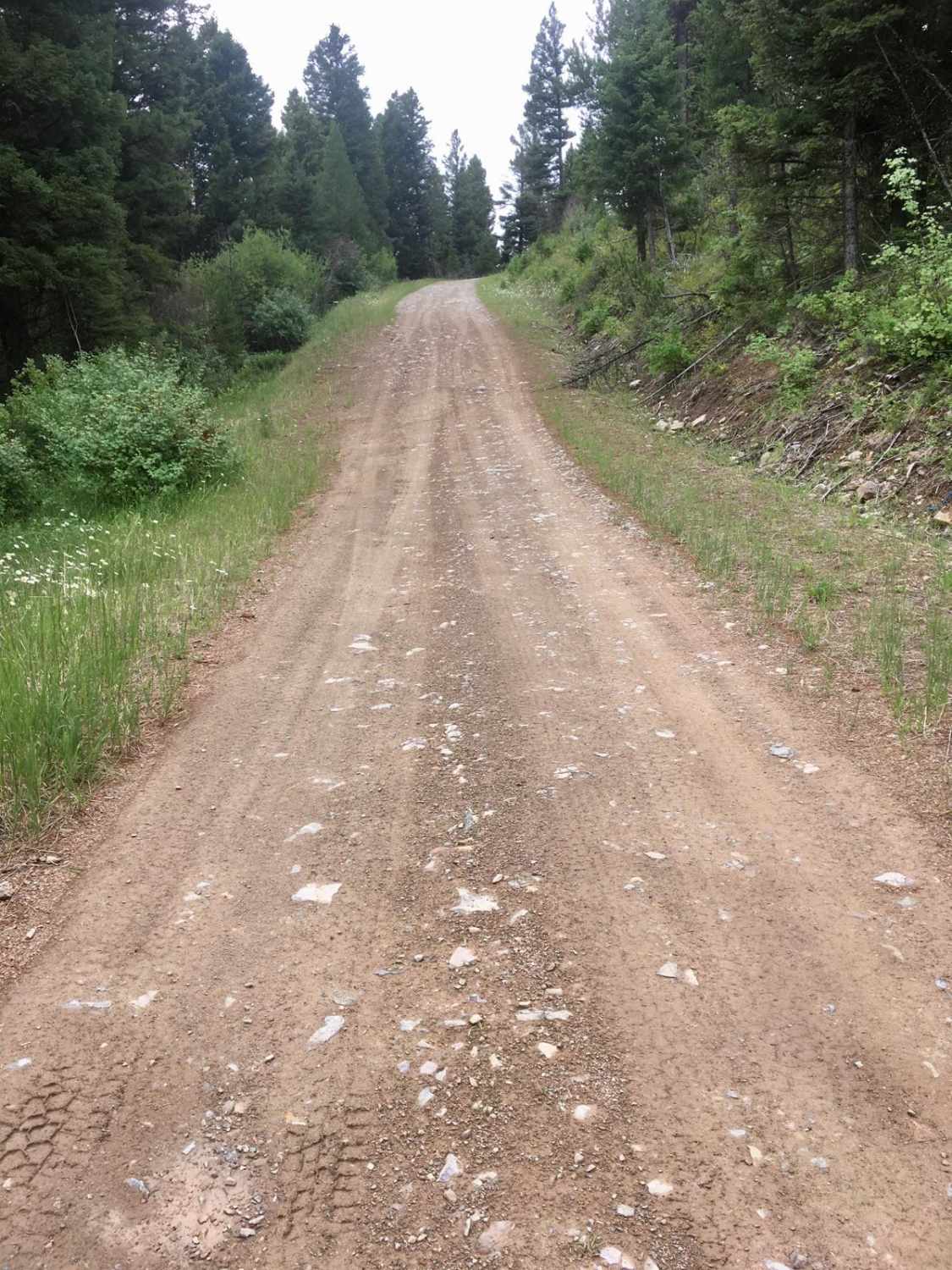 Lone Point Drive - FS 1824