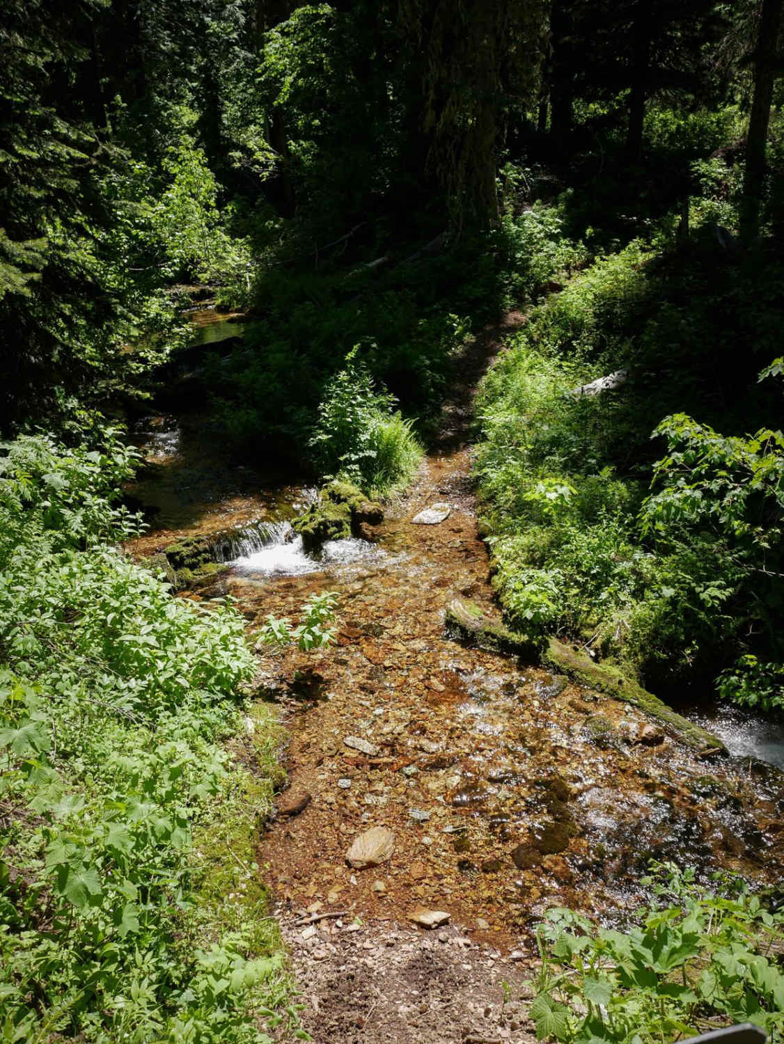 Telichpah Creek NRT 
