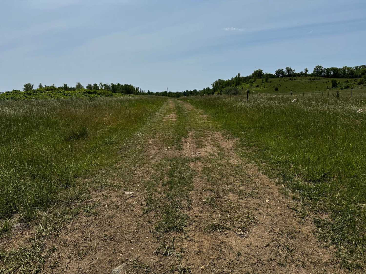Green 7 Boundary Run