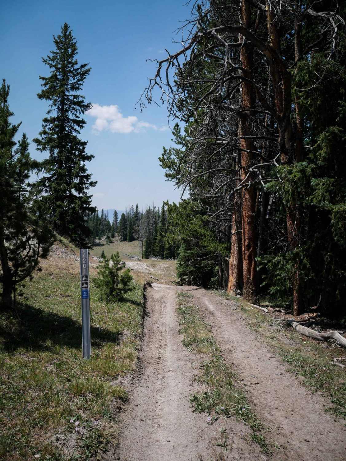 Beef Pasture ATV 