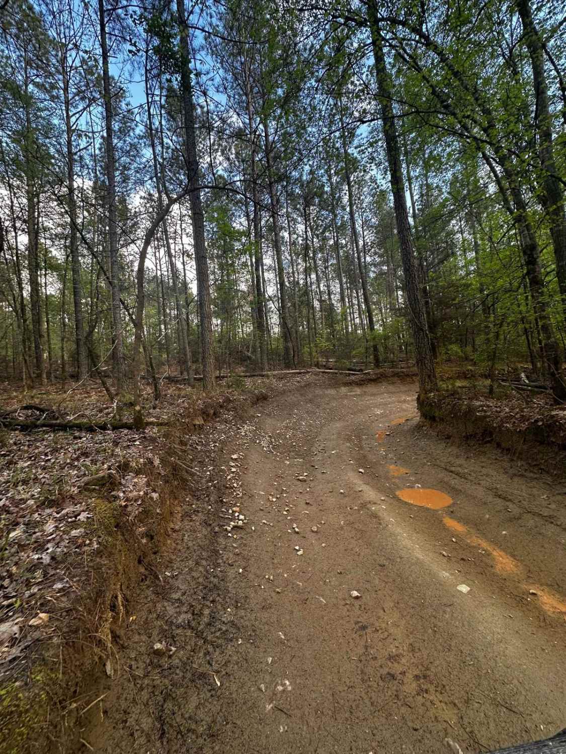 Trail 2