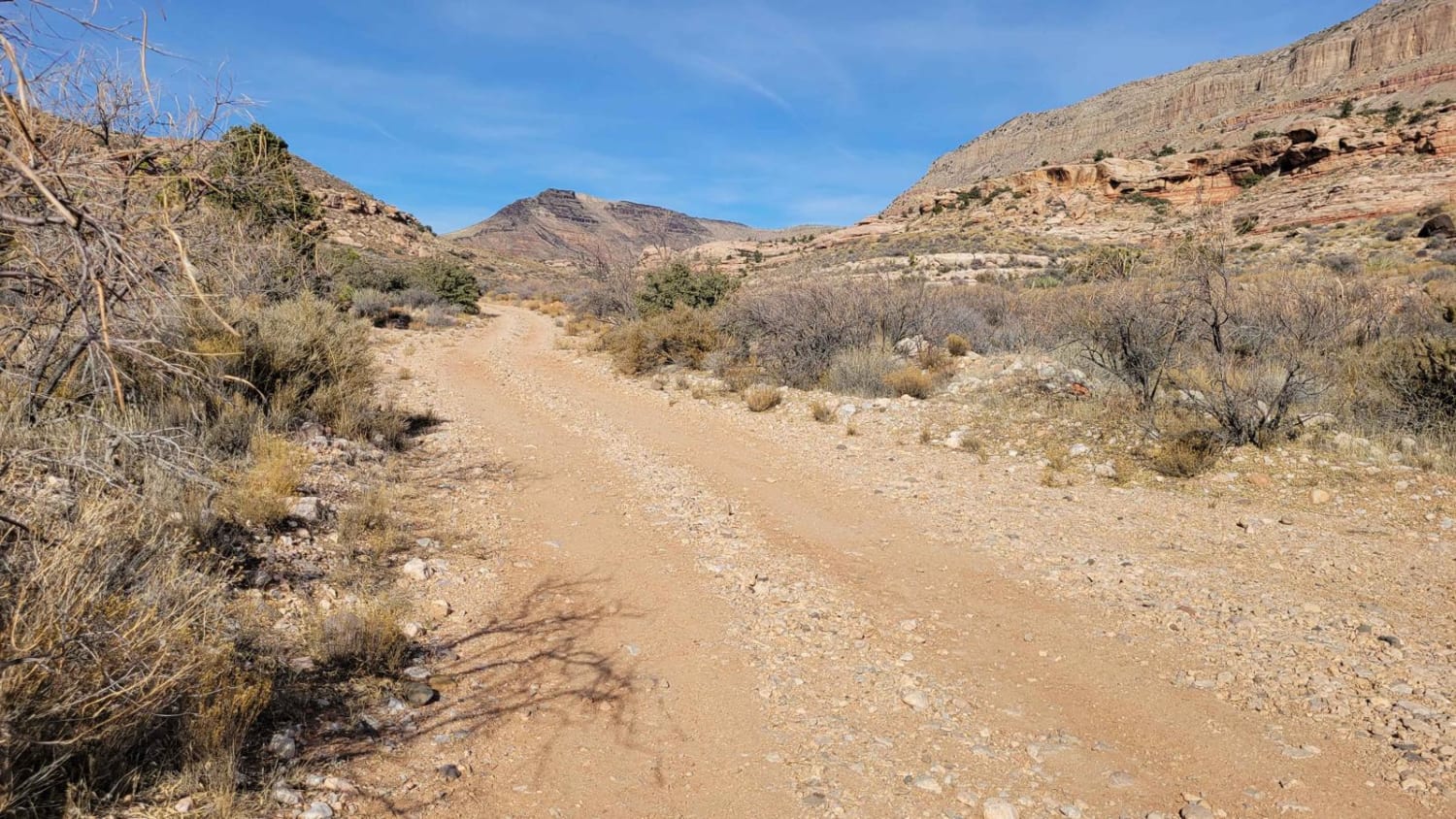 Jump Canyon - BLM 1033