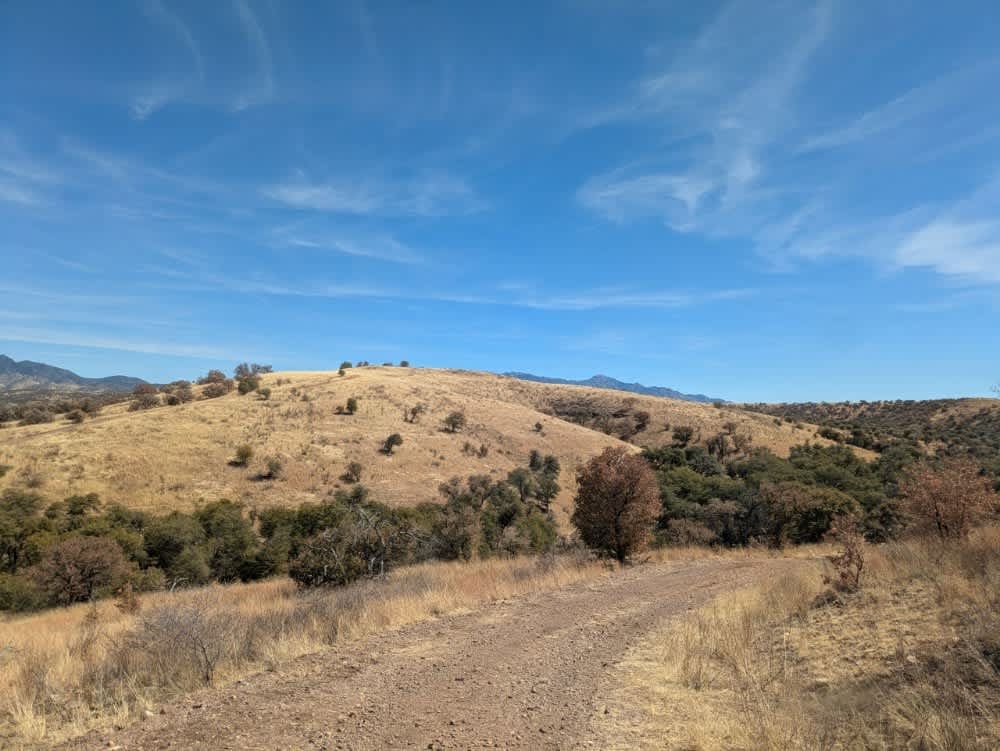 Parker Canyon