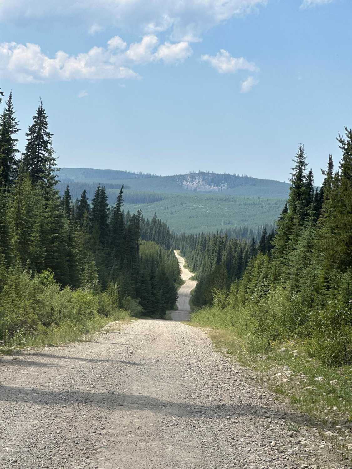 Okanagan Falls FSR