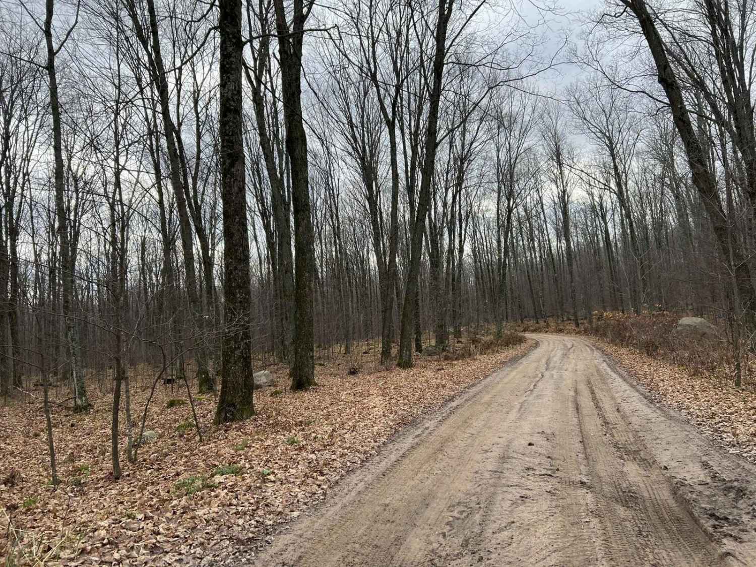 Florence County Trail H- Northwoods Drive