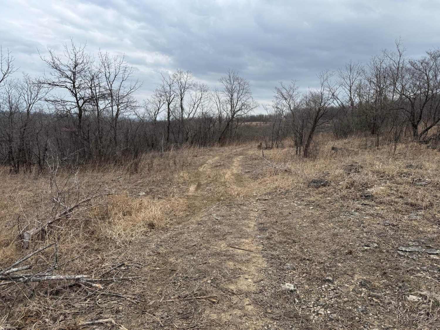 Washington Bald - FSR 148A