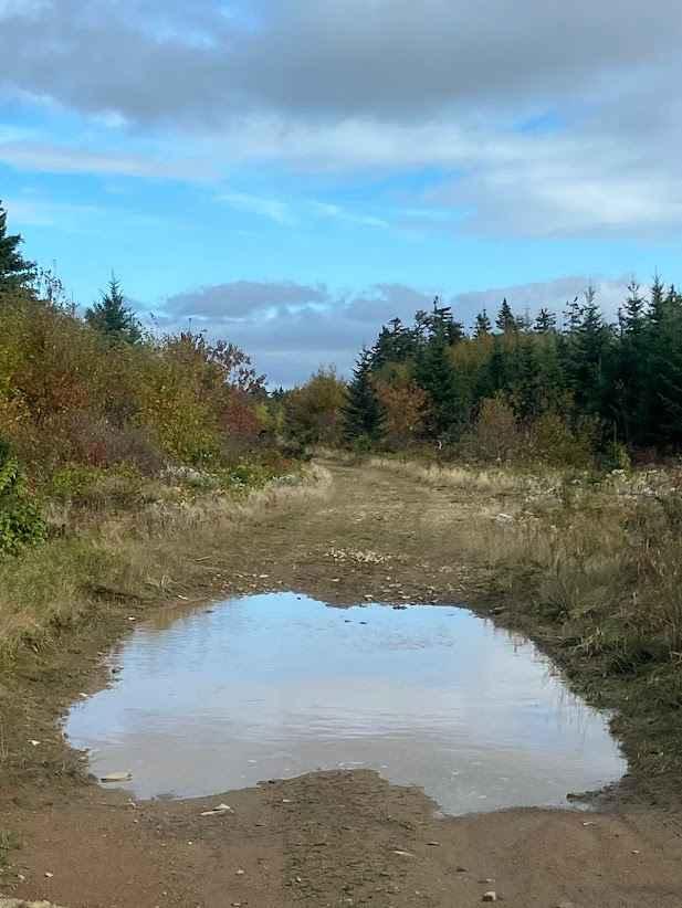 North Highland Road