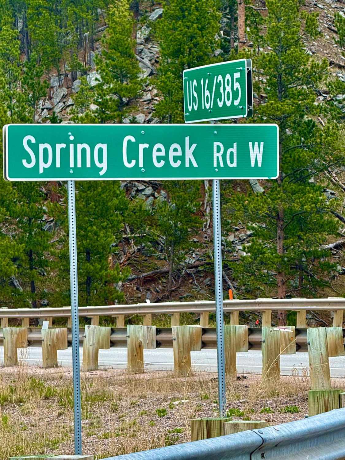 Spring Creek Road - FS 305
