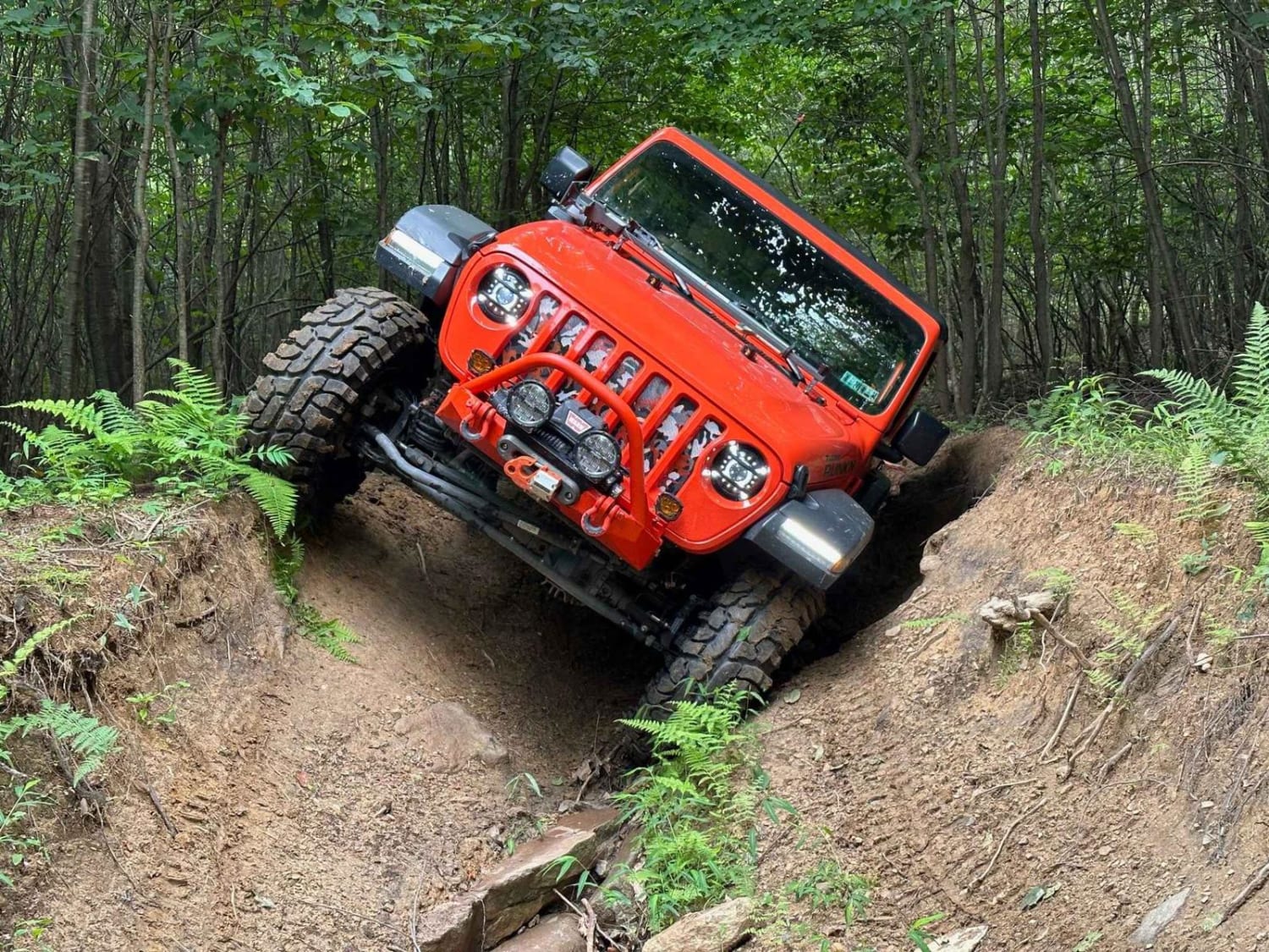 Trail 5