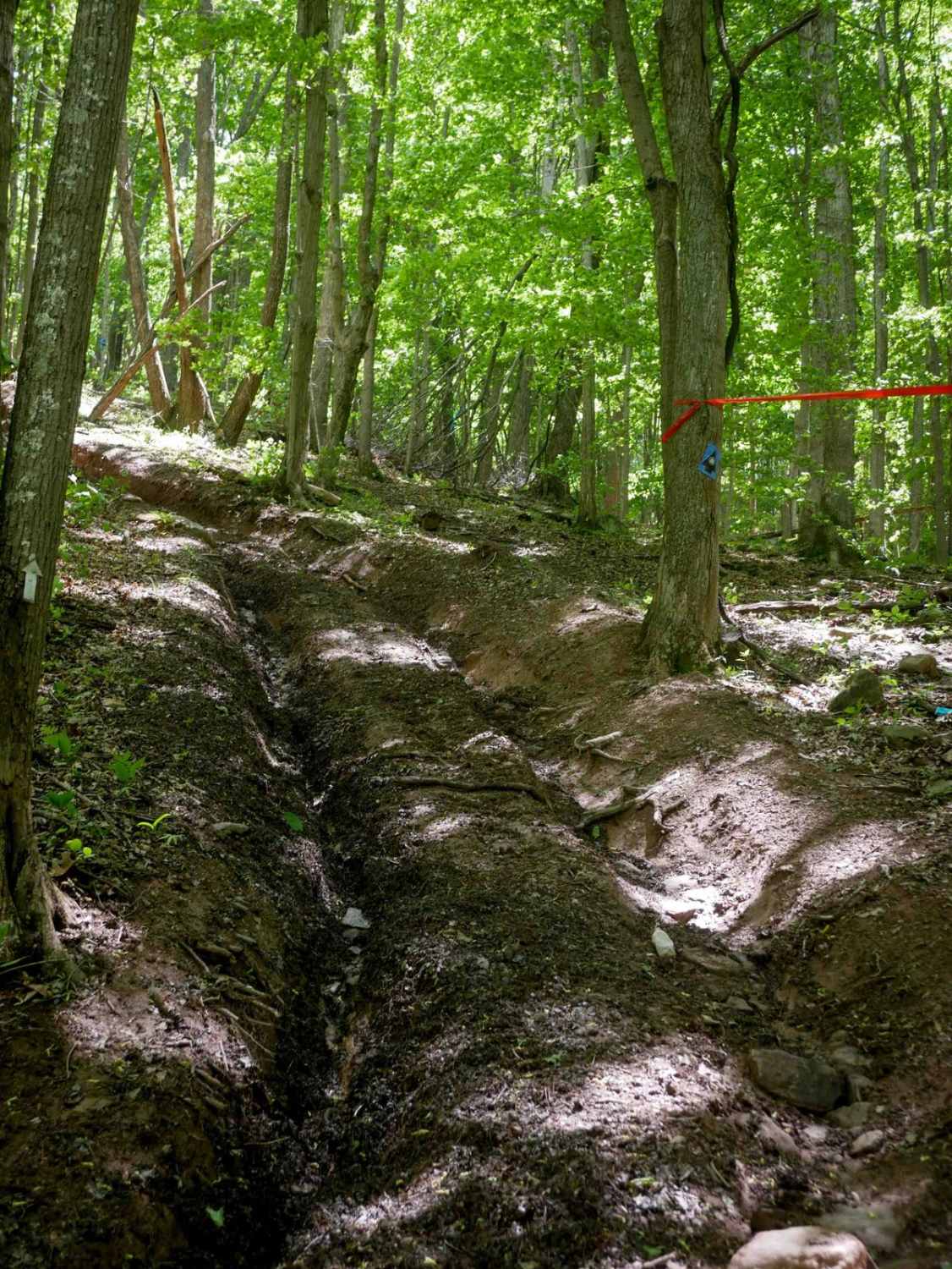 Trail 15