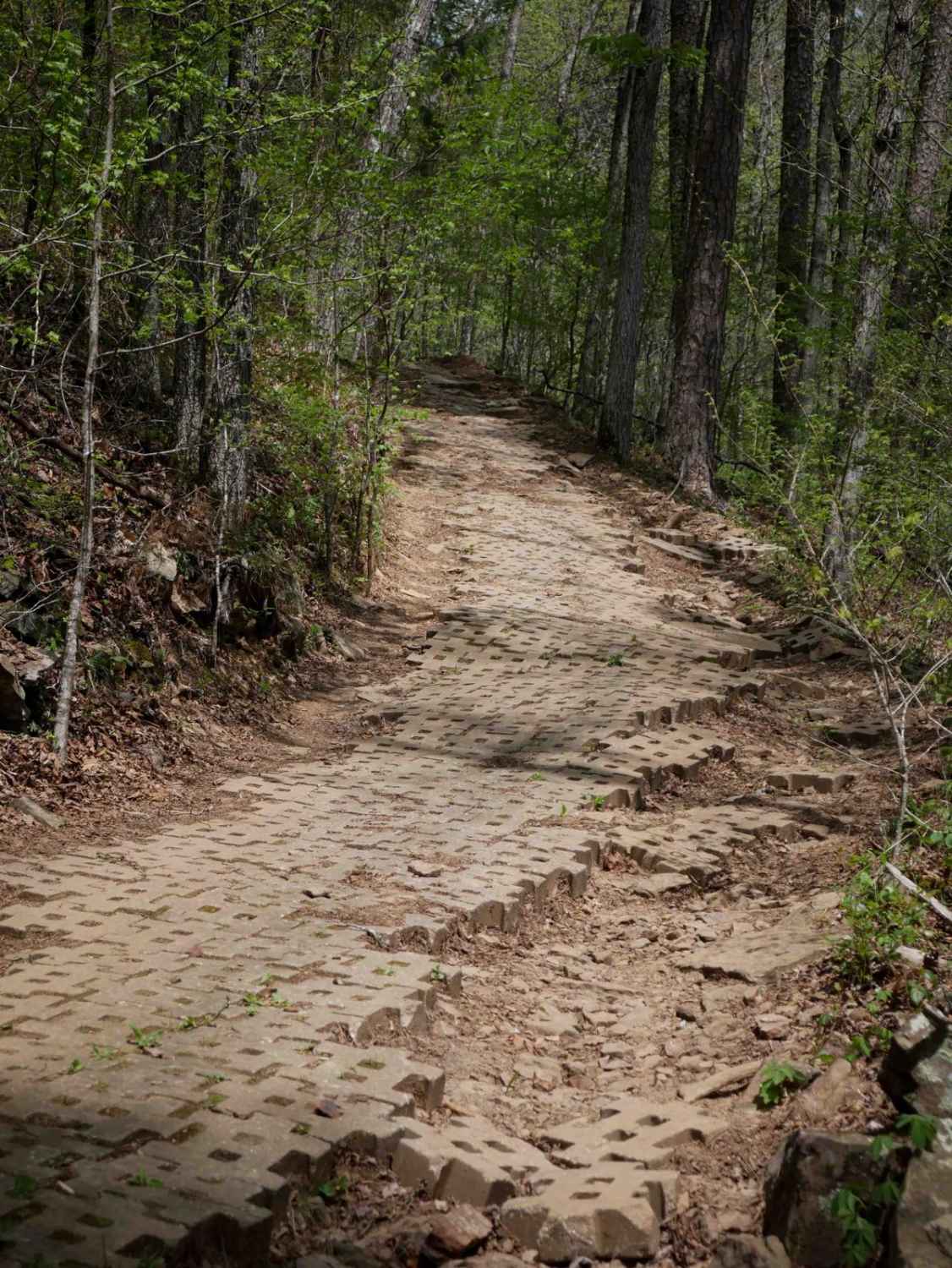 Gap Hollow Spur South 1