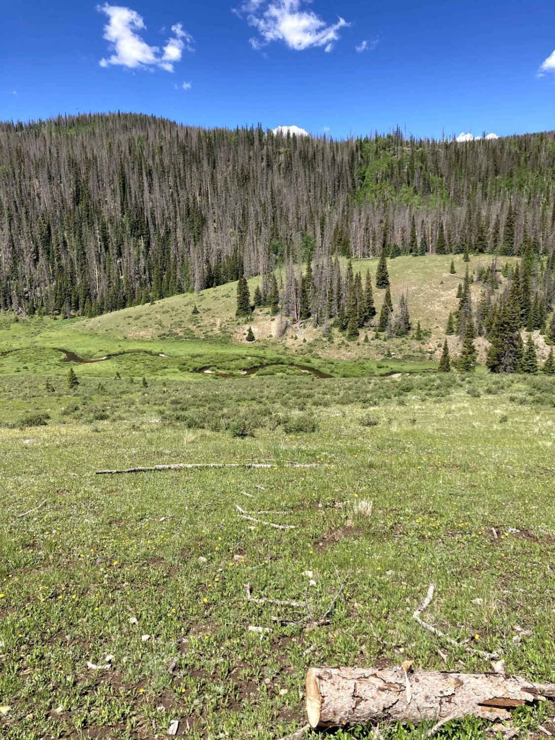 Beaver Creek Trail