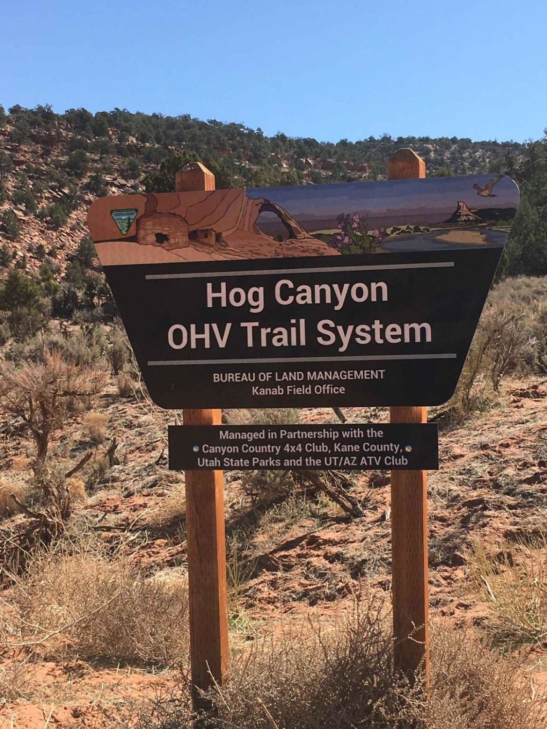 Hog Canyon-BLMHC7 Tom's Trail