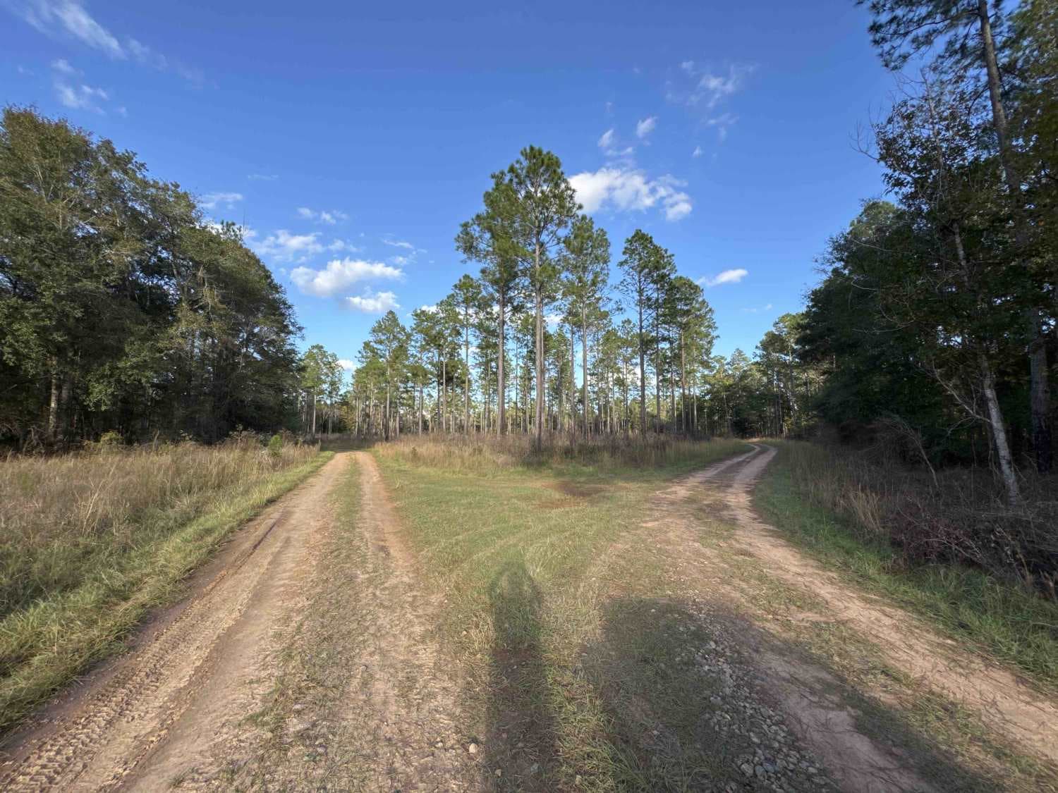 Pine Island Road