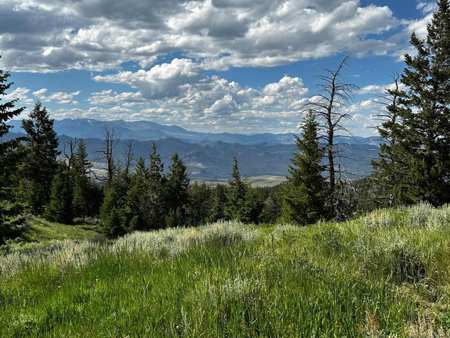 Carter Mountain Access