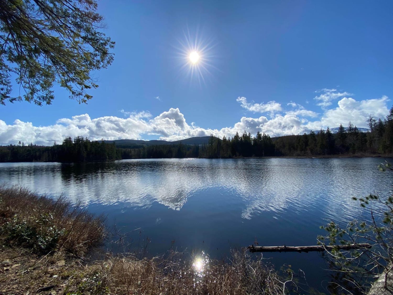 Boomerang Lake From 155 Main