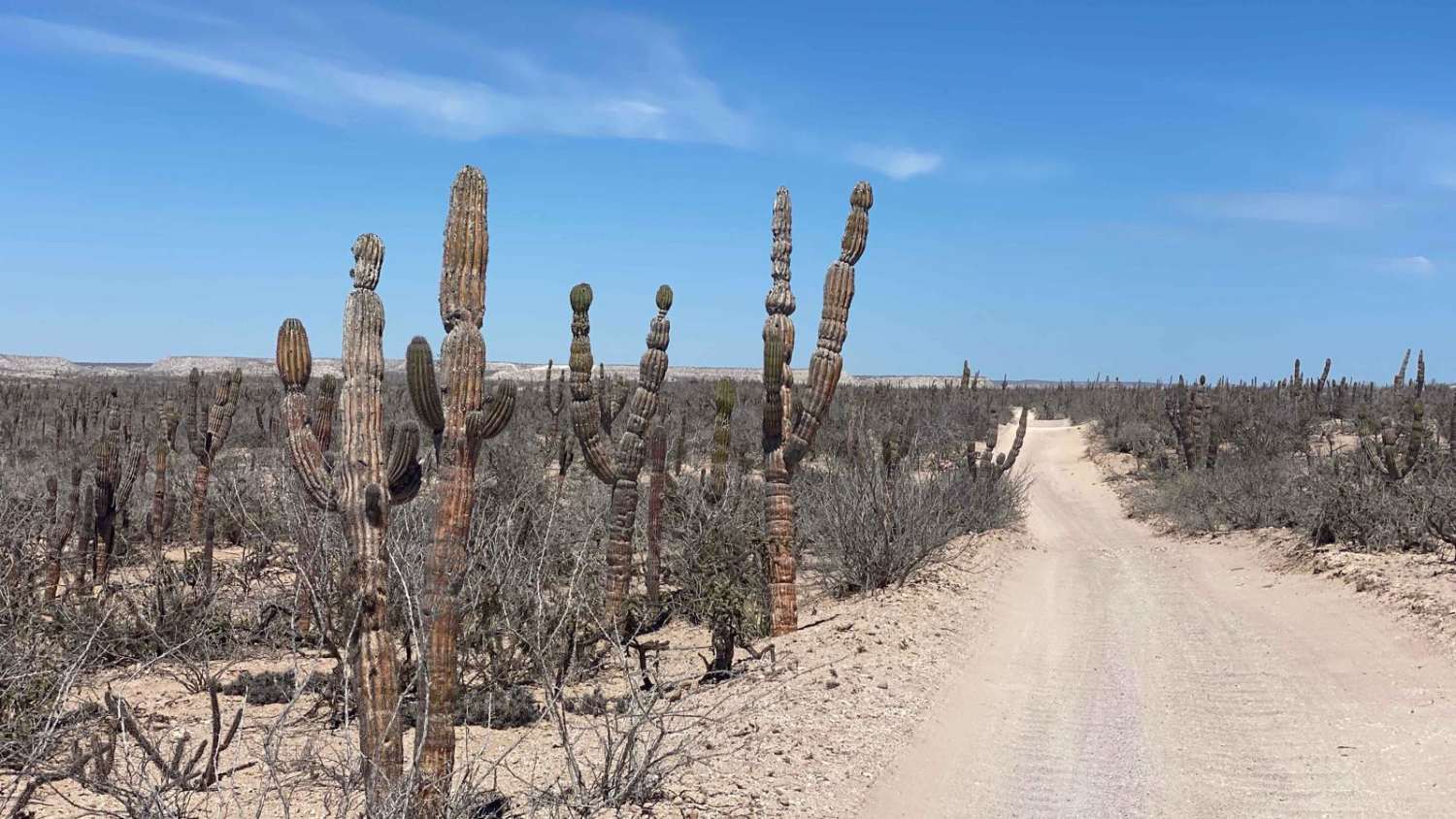 Punta Conejo