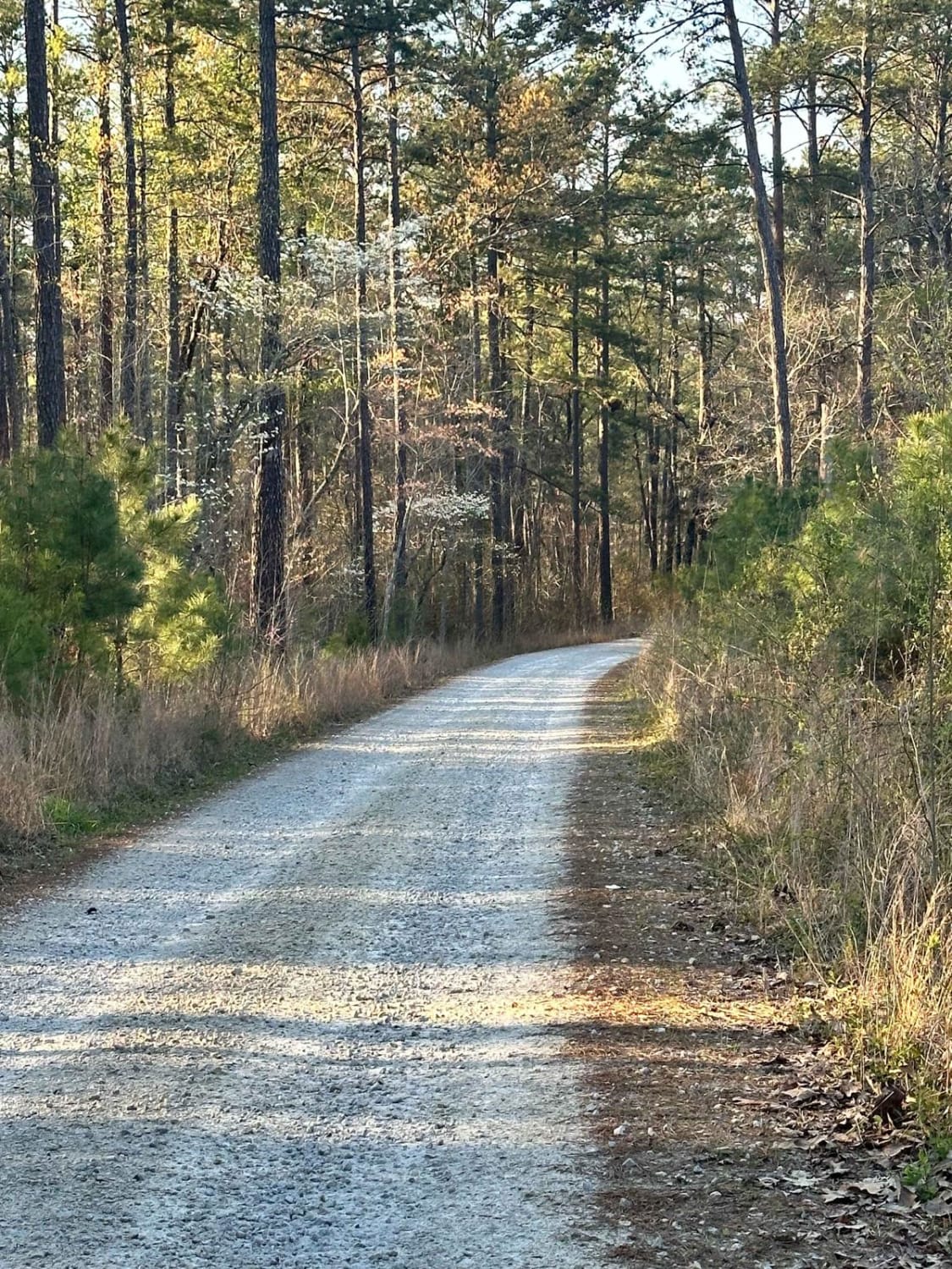 Little North Carolina Road