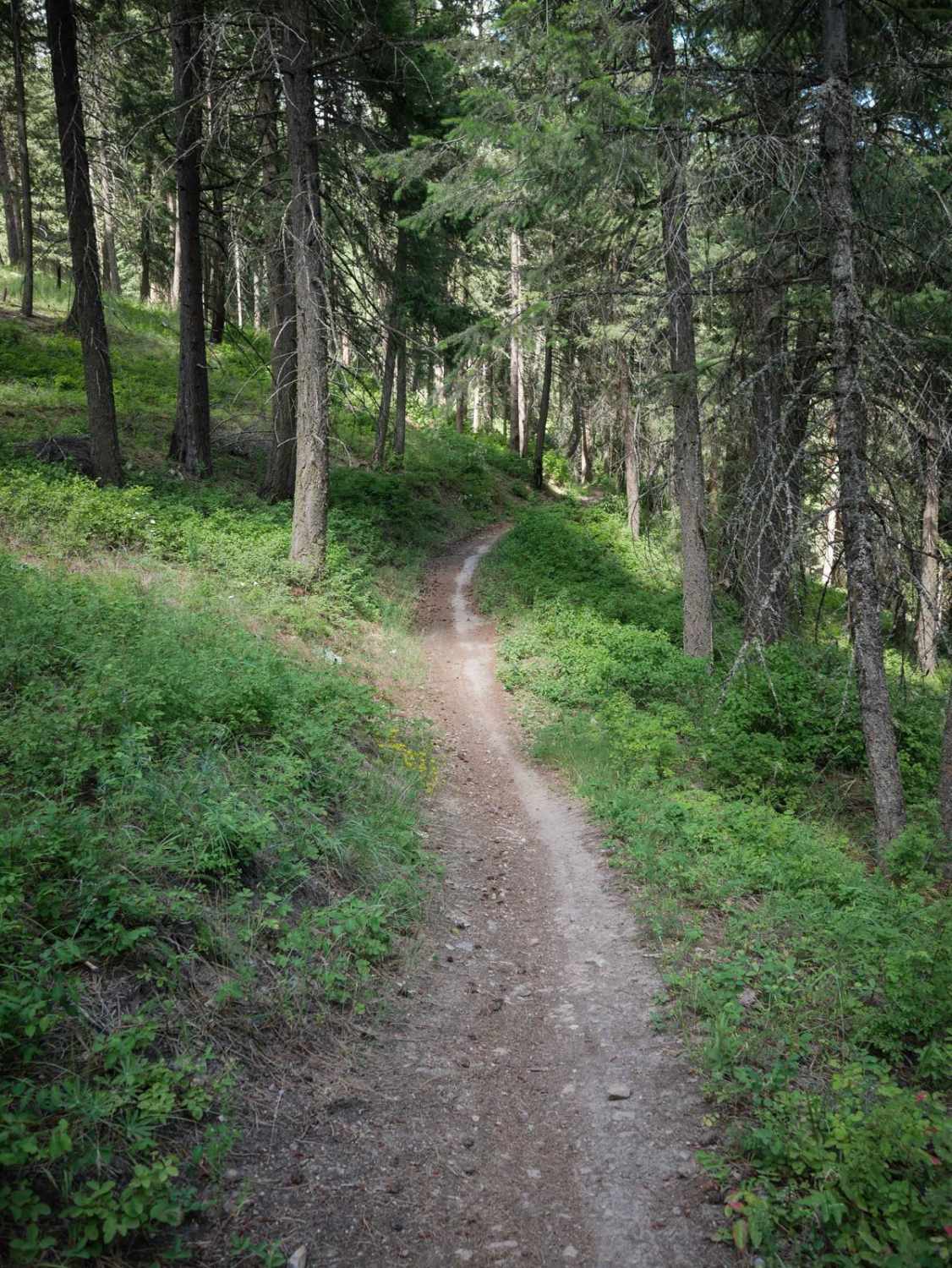 Canfield Mountain - Trail A (West)