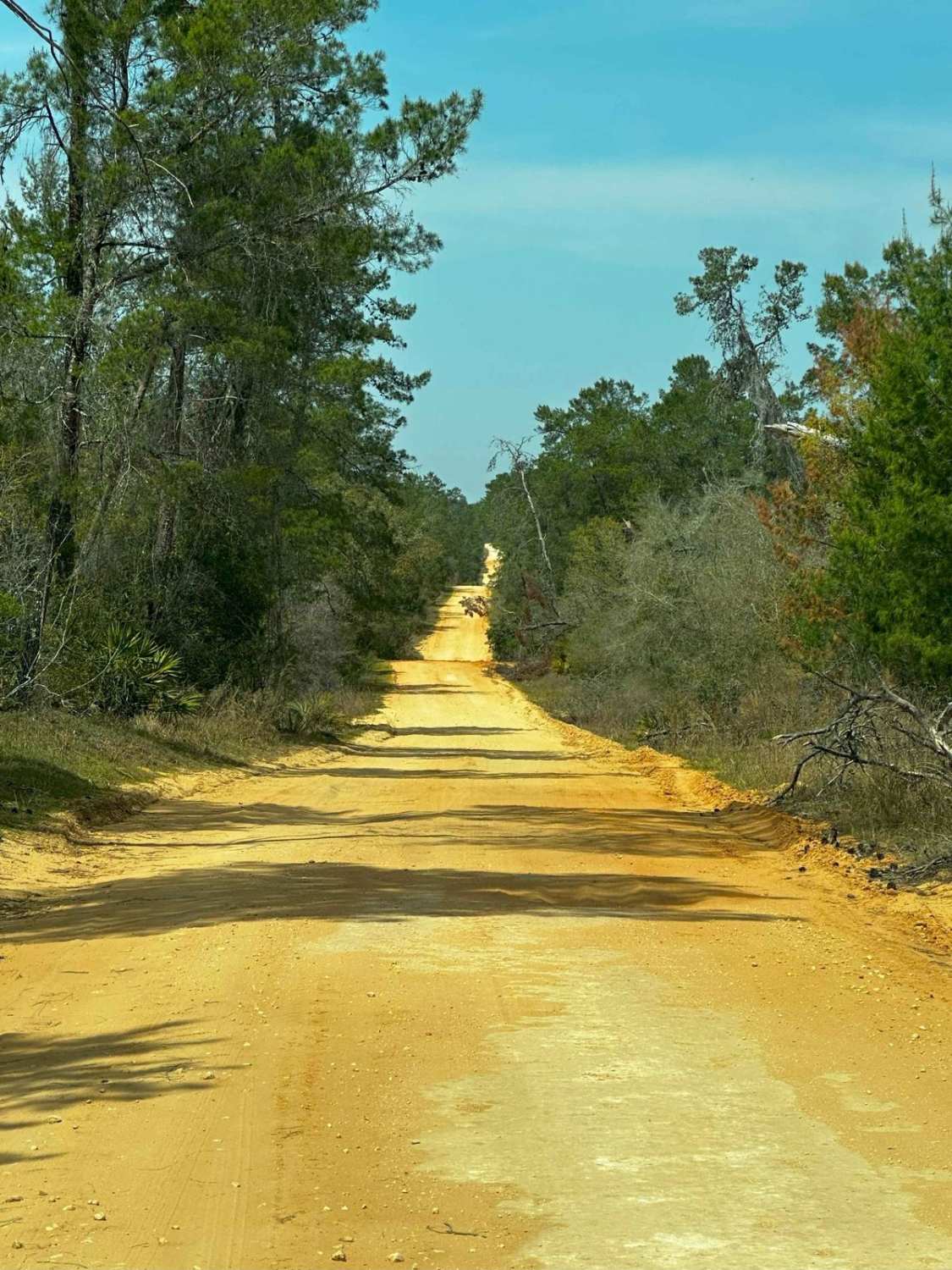 Lake Eaton - ONF-5