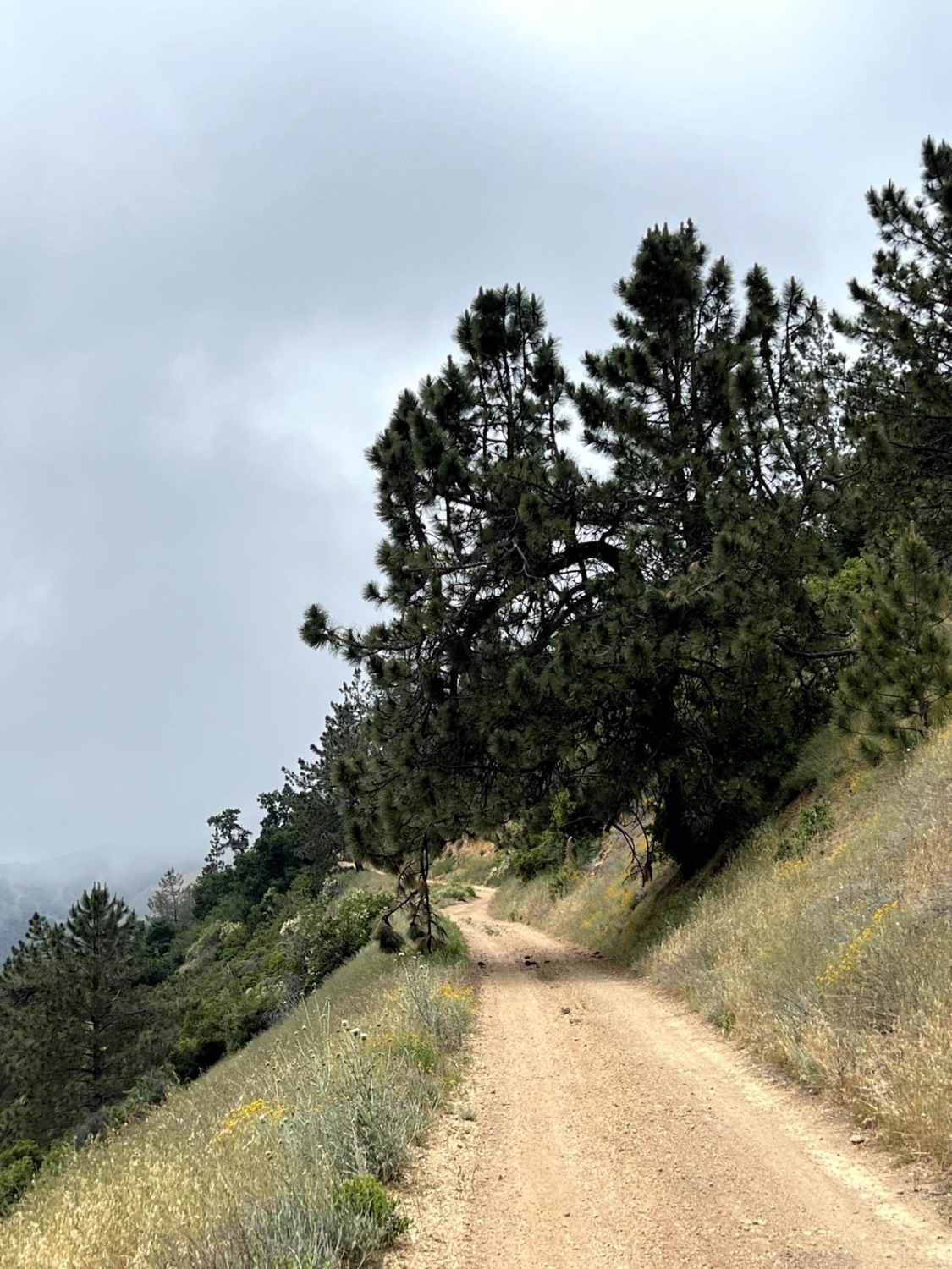 Zaca Ridge Road