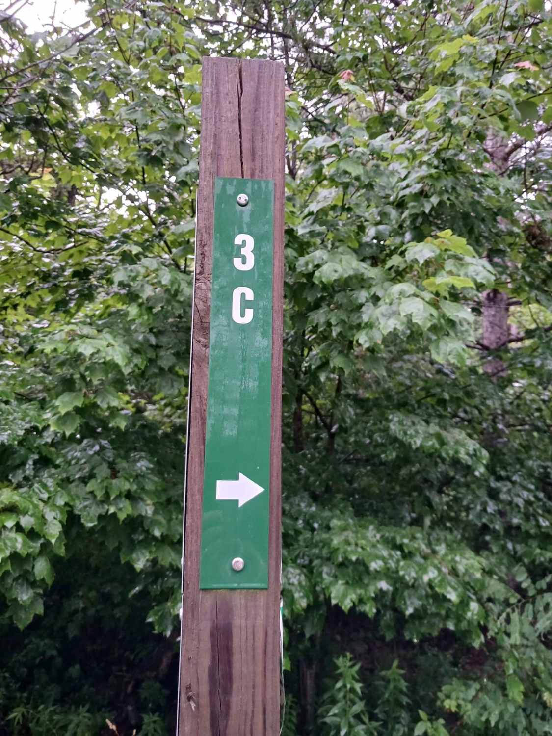 Trail 3C - Rock Run Recreation Area