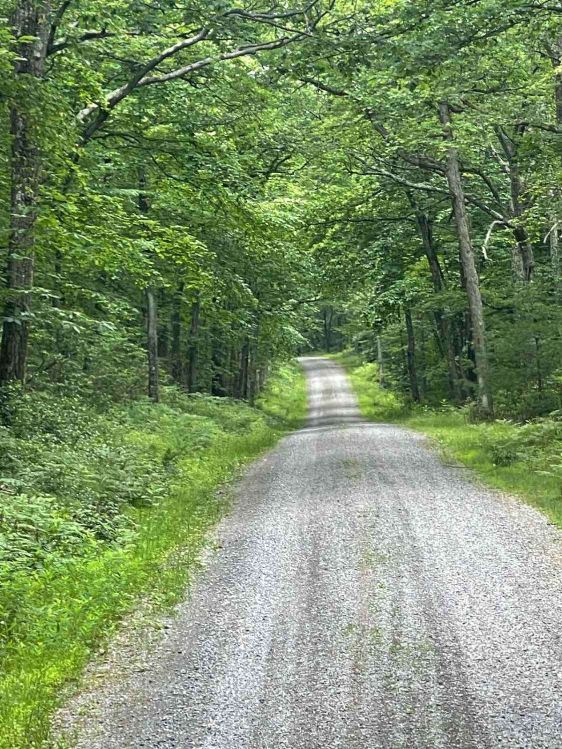 Krape Road