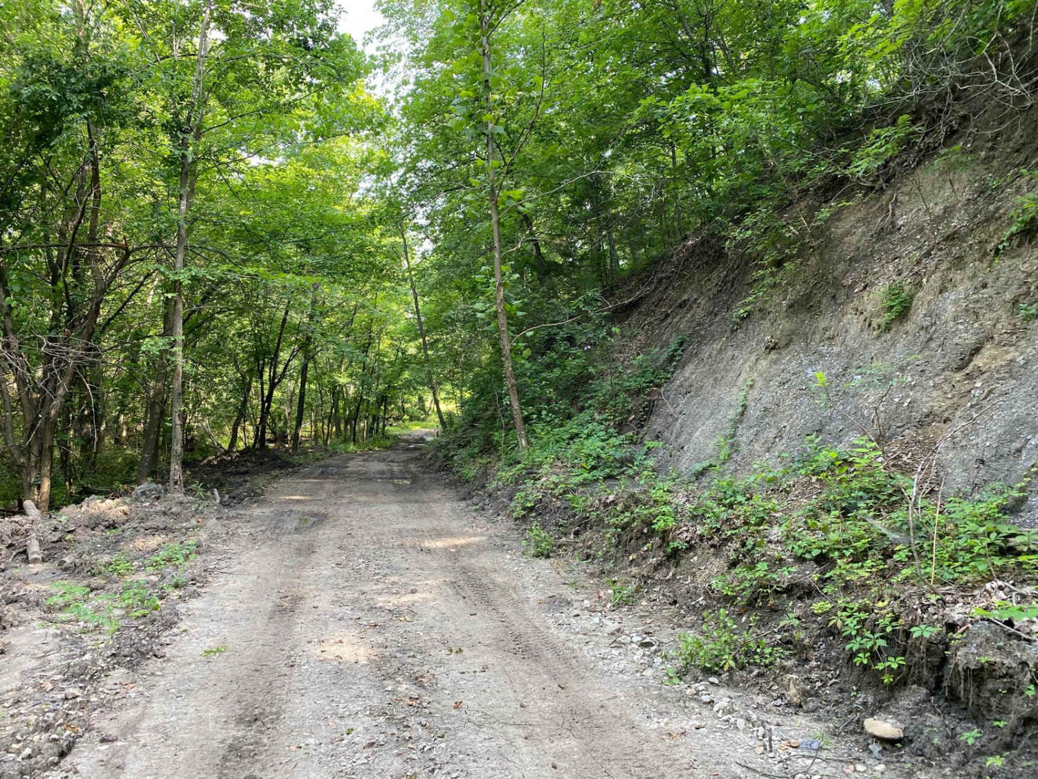 Buckeye Boonies