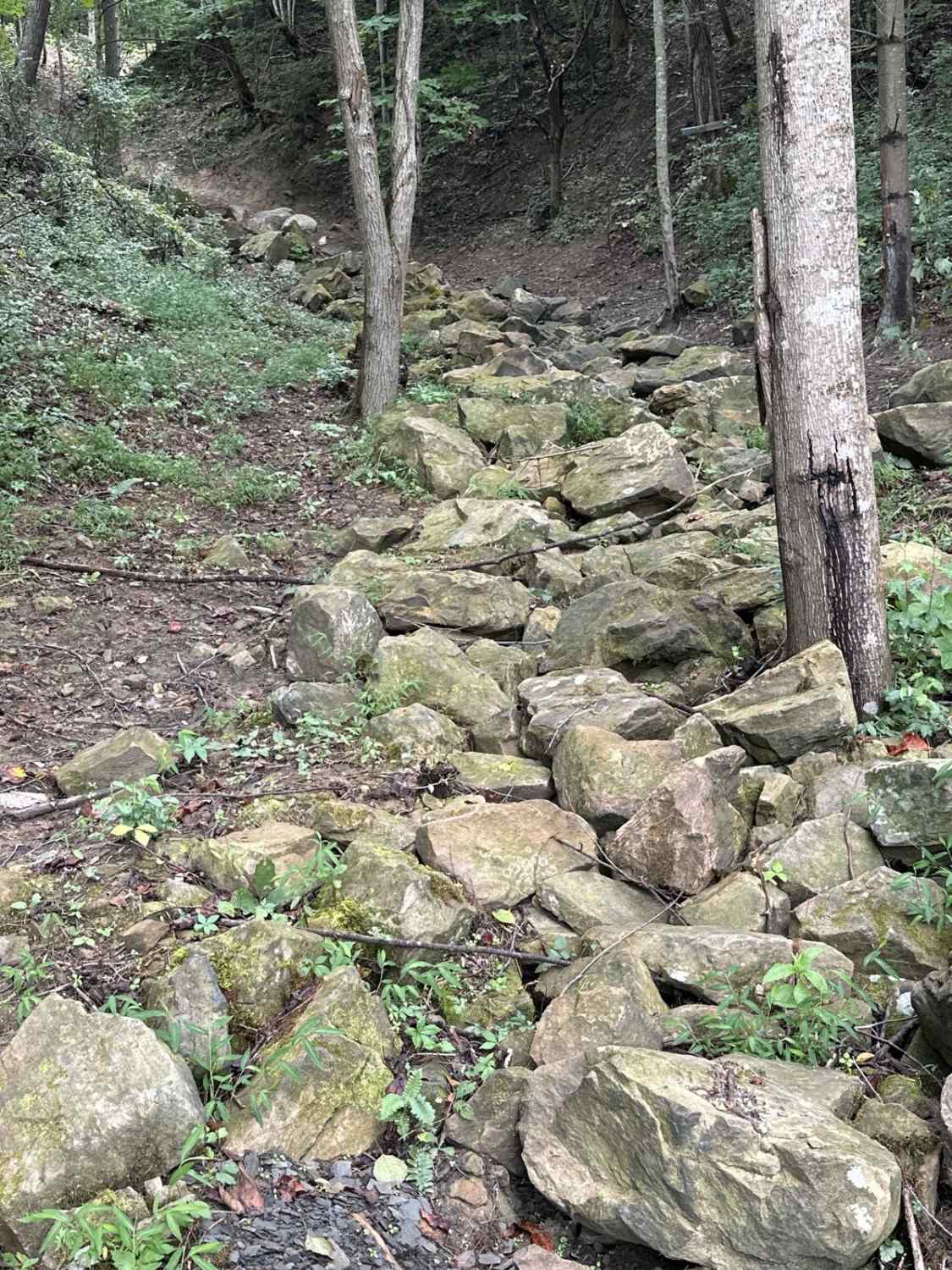 Who's your daddy?- Leatherwood Off Road Park
