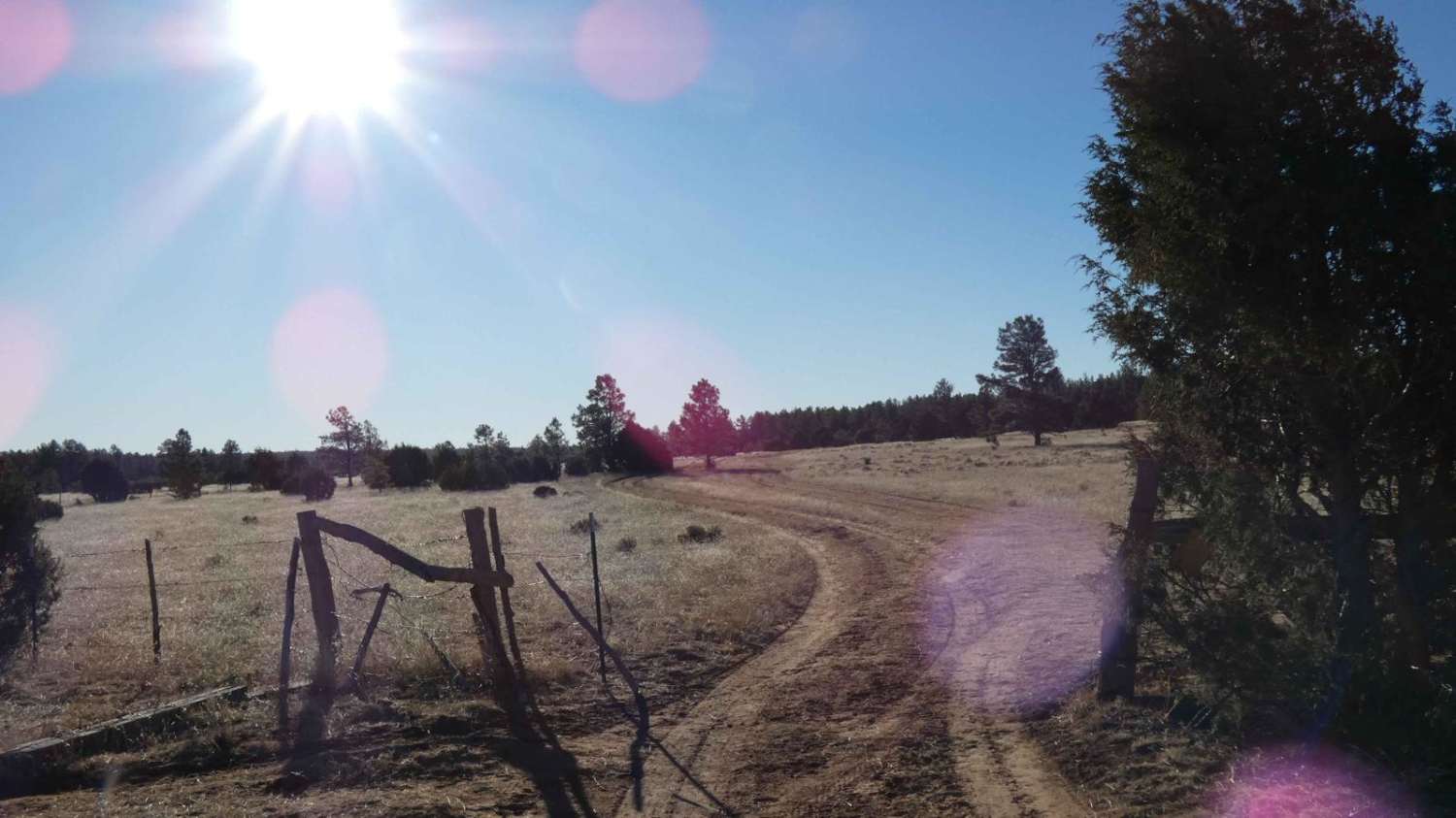Barberro Mesa Drop