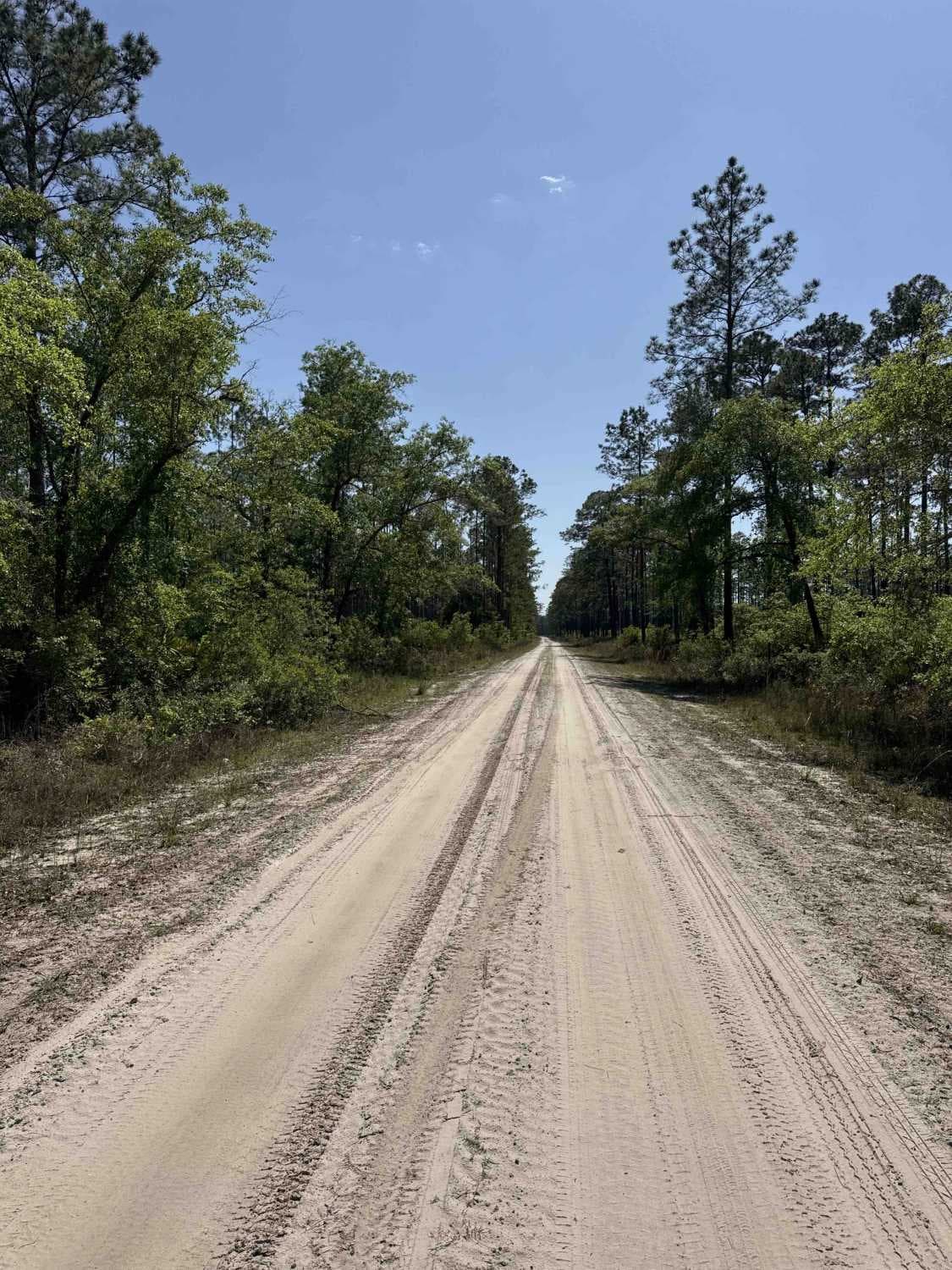 East Tower - Osceola NF 202