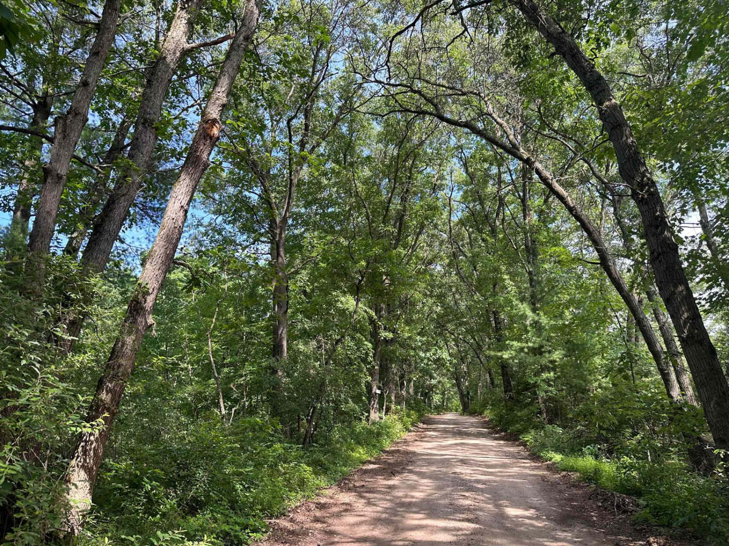 West Snow Lake Road