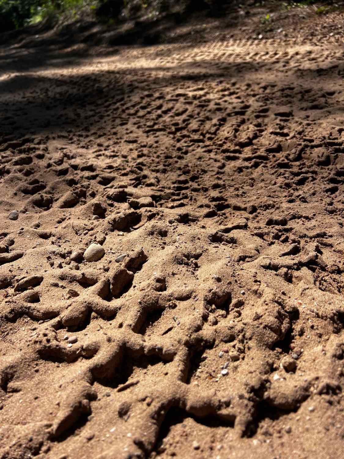 37 Trail