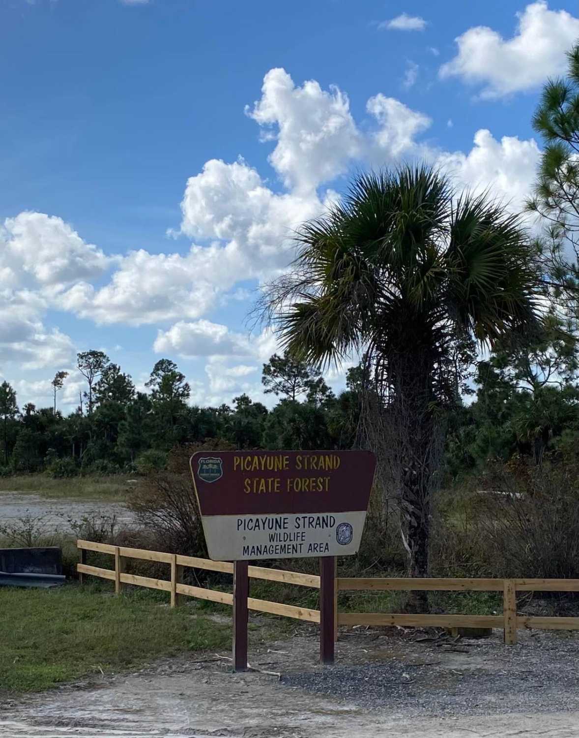 Everglades Boulevard