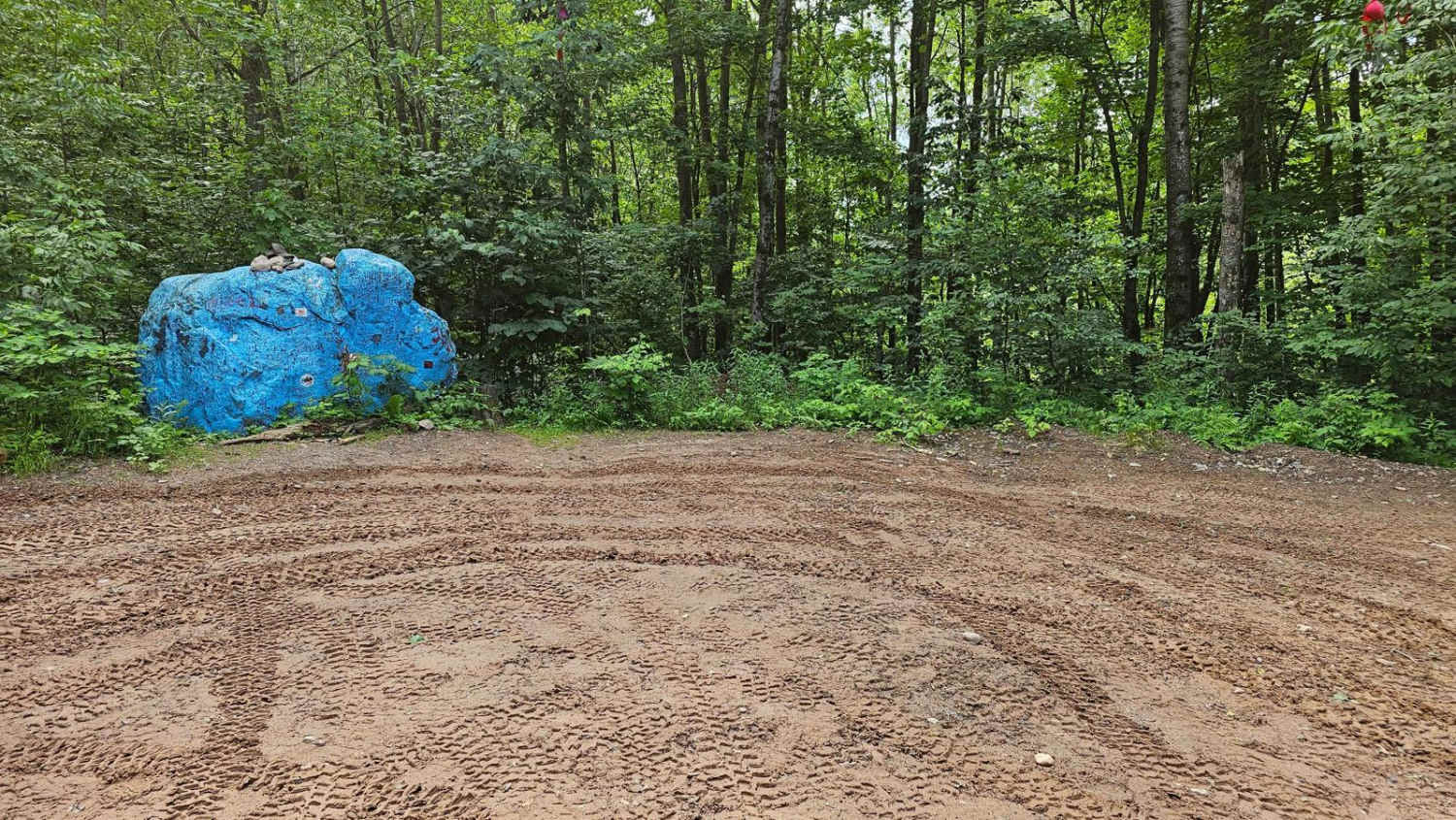 Bloomer County Forest Trail