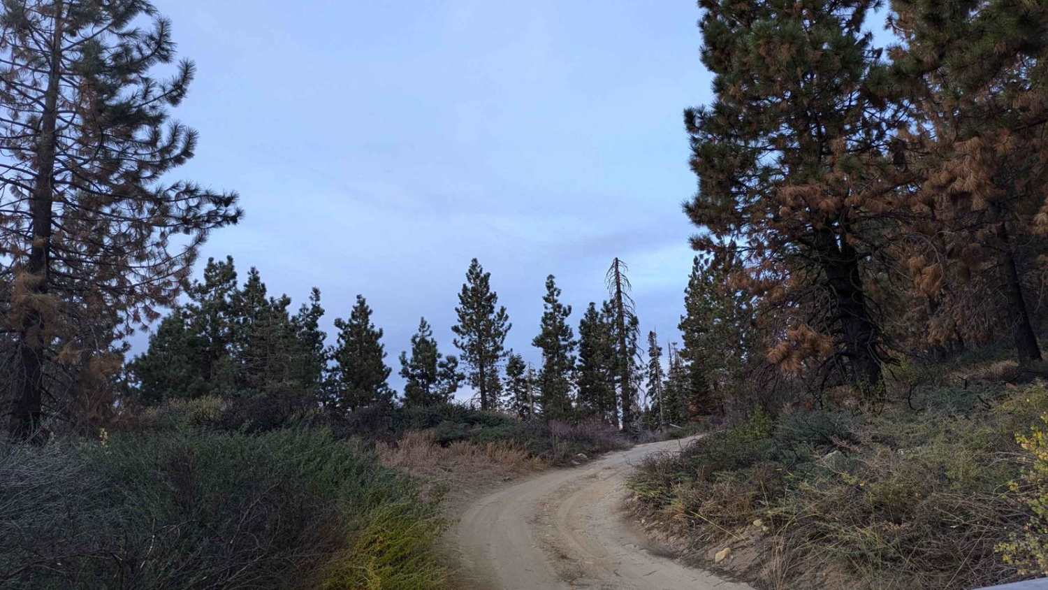 Woodcock Meadow - 14S13