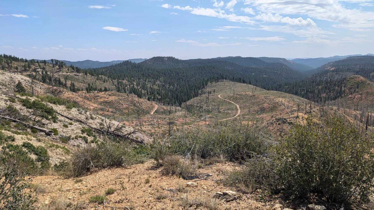 Stout Ridge