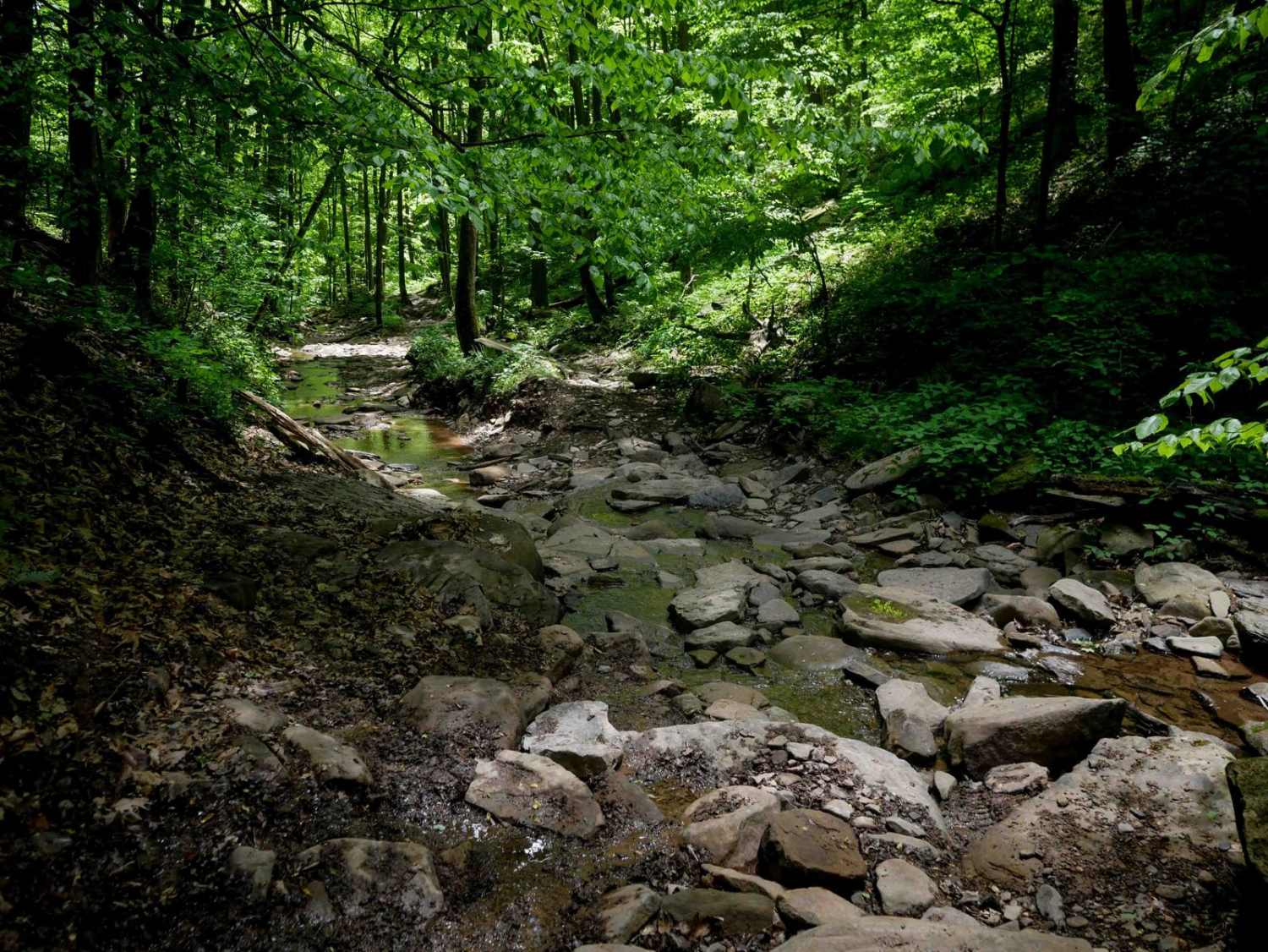 Trail 18