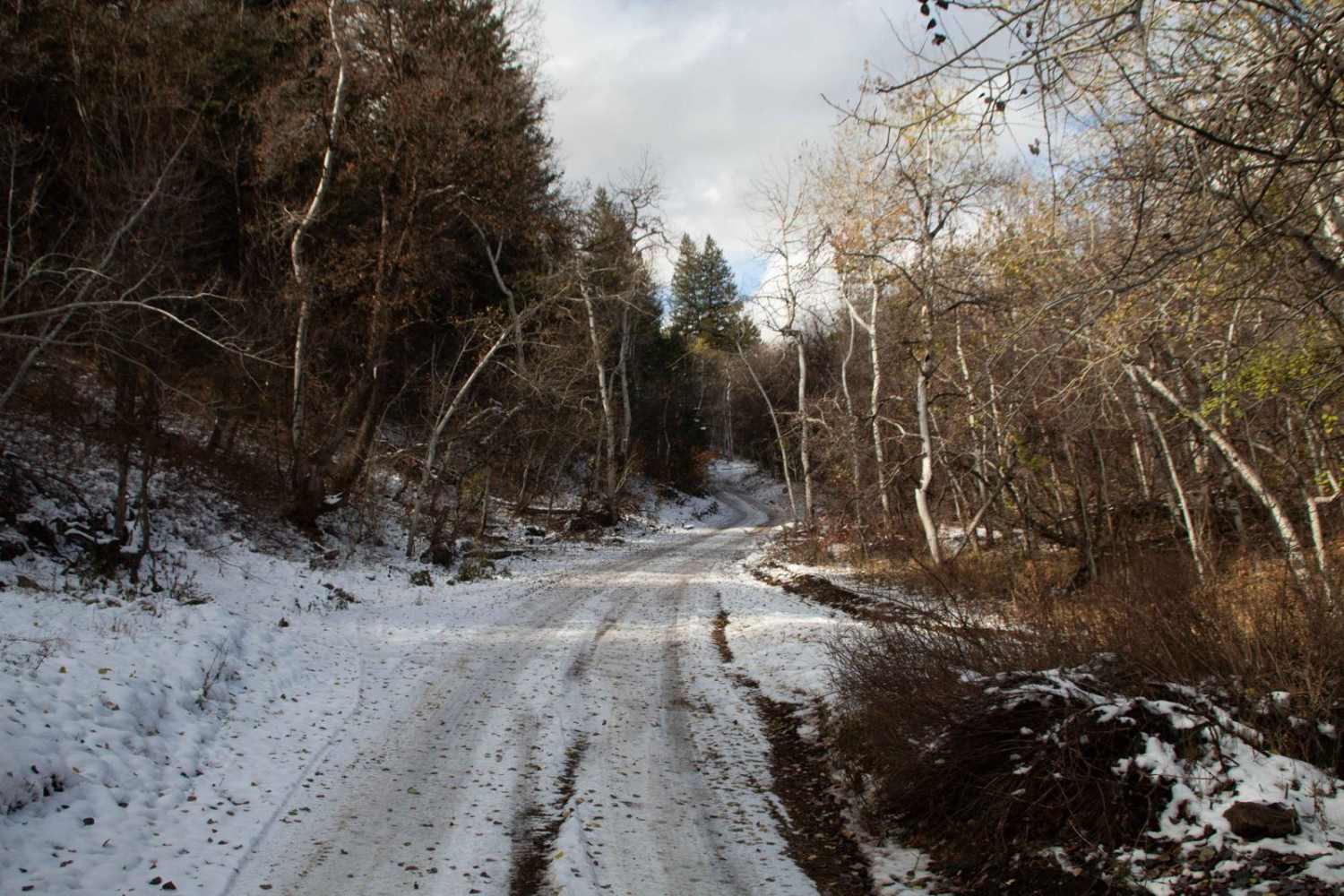 Three Mile Canyon