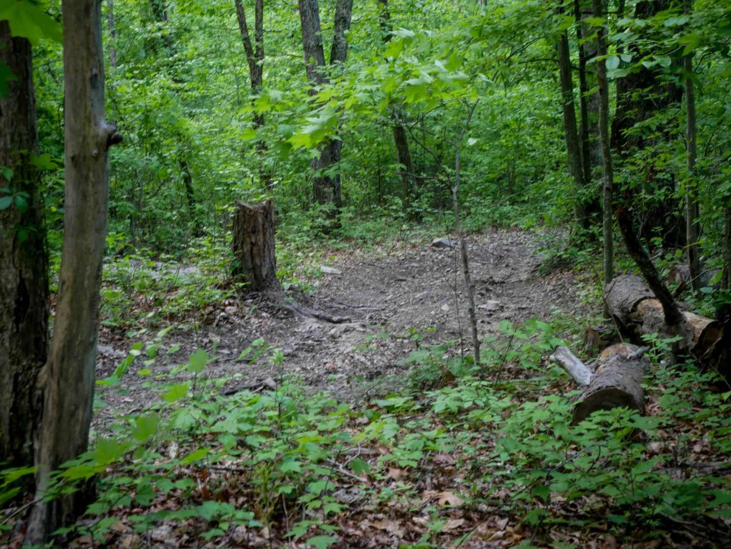 Trail 14
