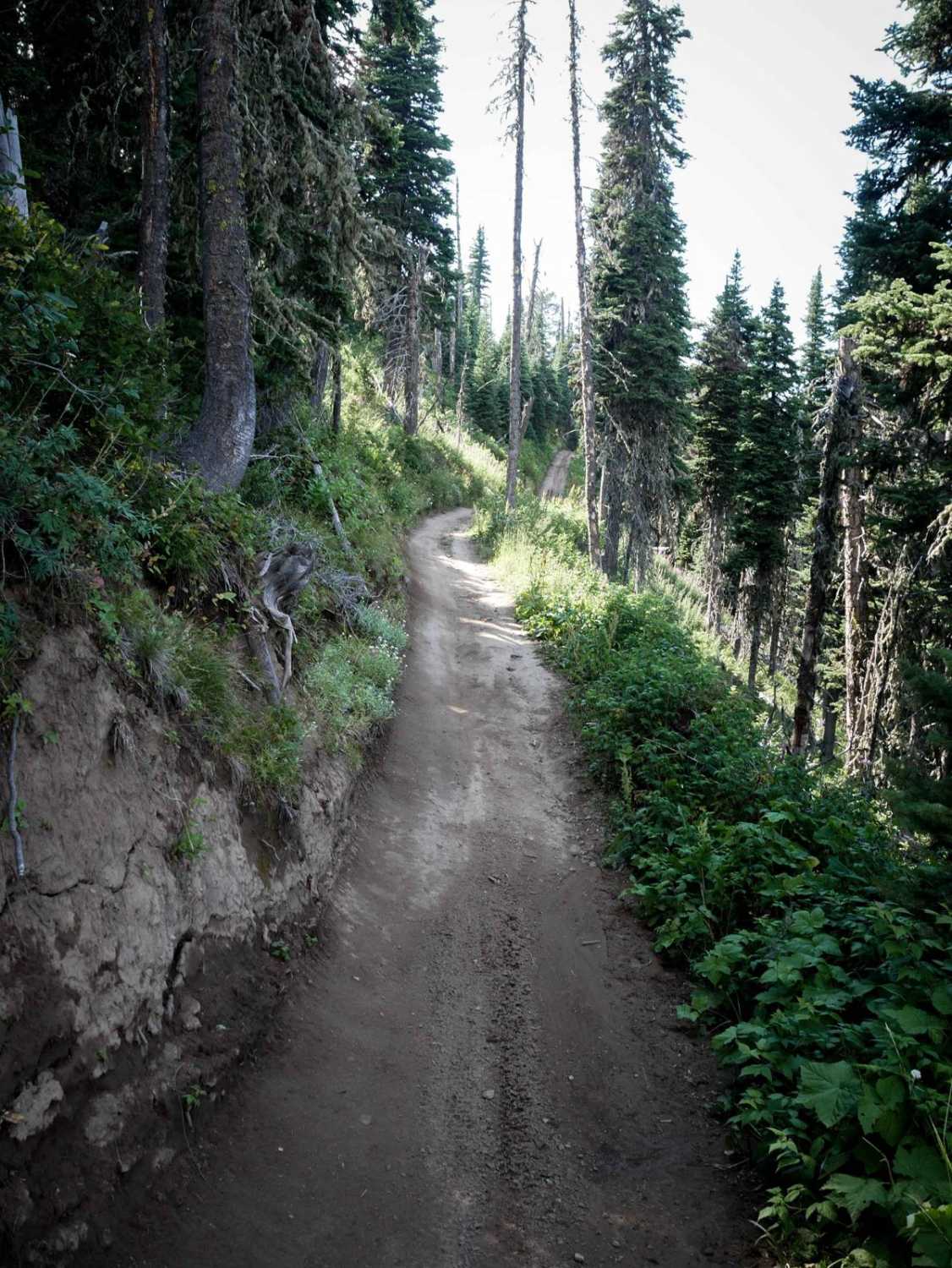Bishop Park ATV
