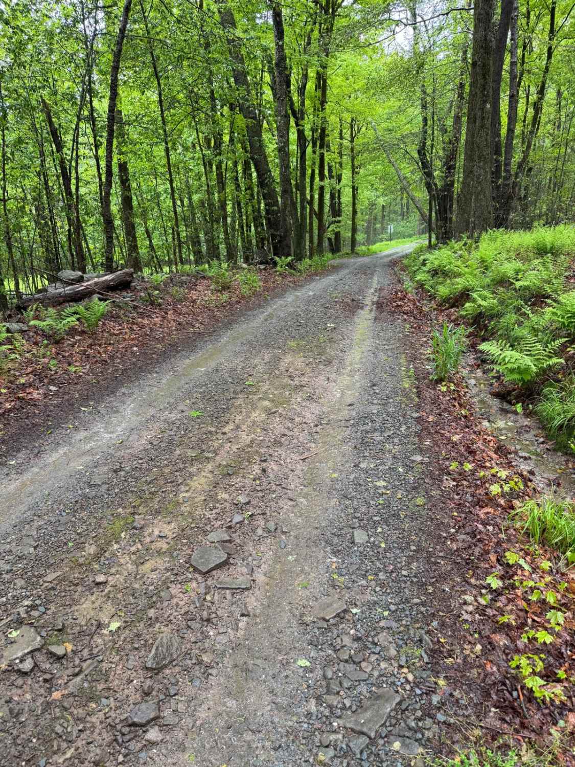 Moore Hill Road