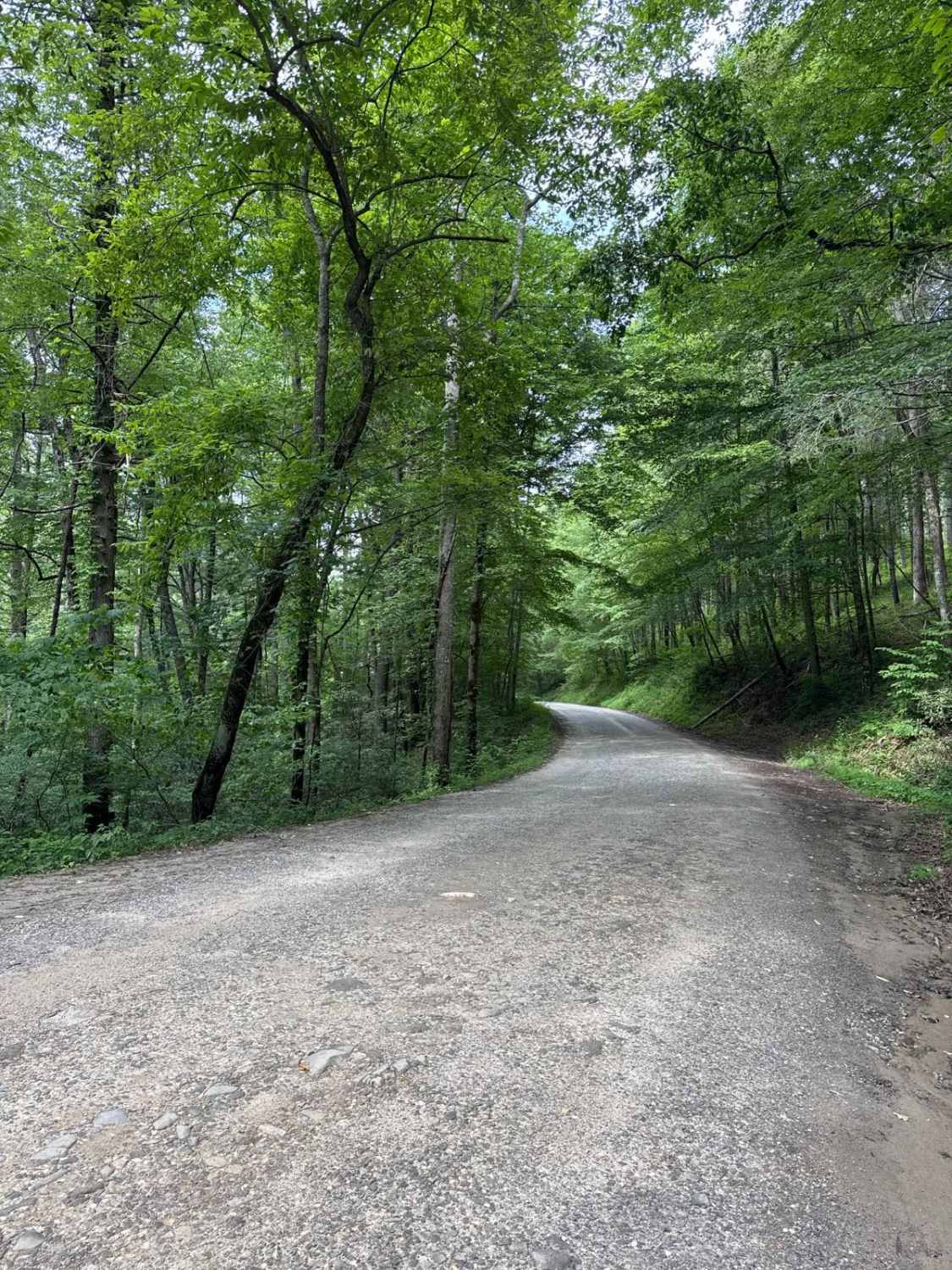 Rock Creek Road - FS 69