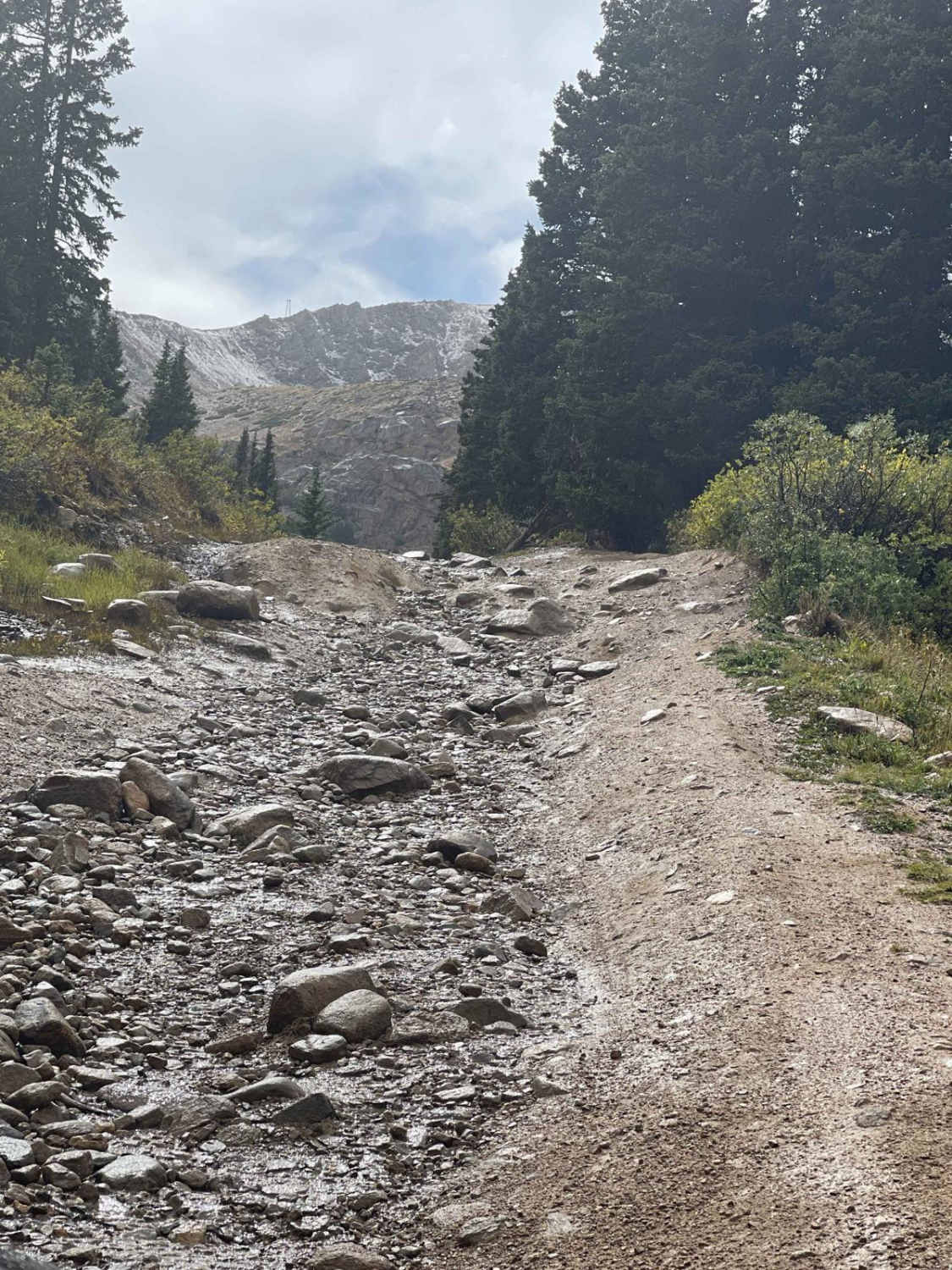 Champion Mine Trail