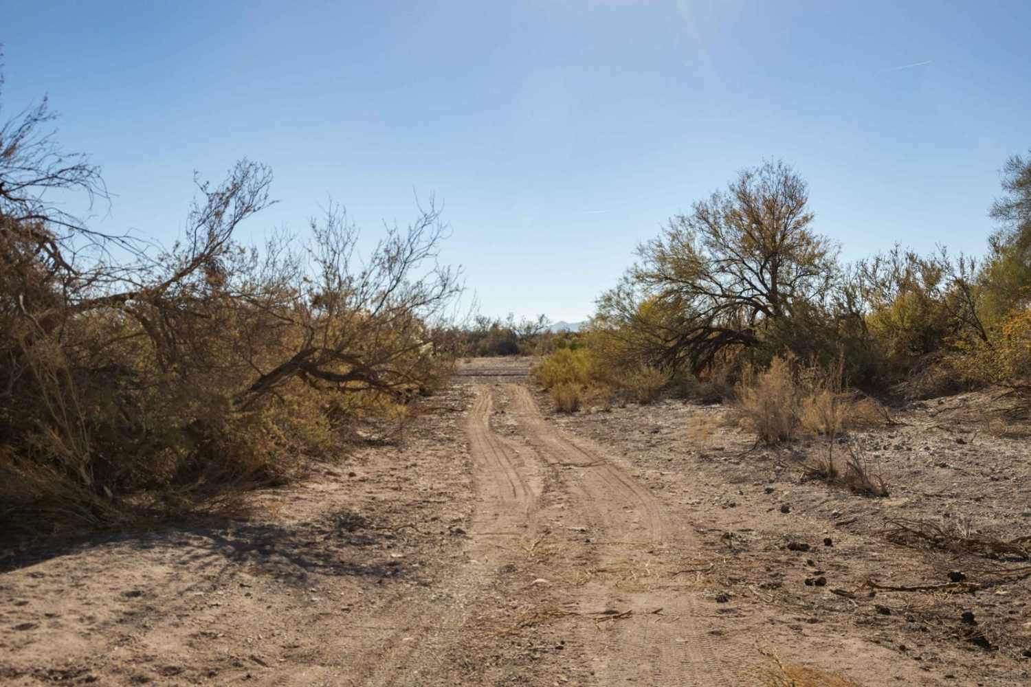 Varied Loop Trail