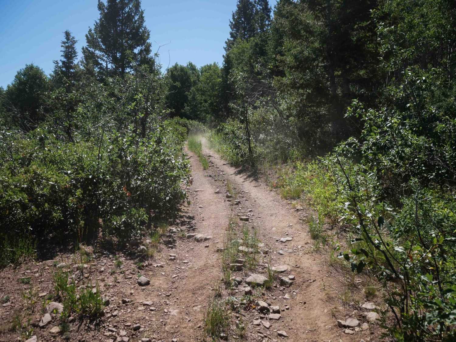 Wood Canyon Loop #5249