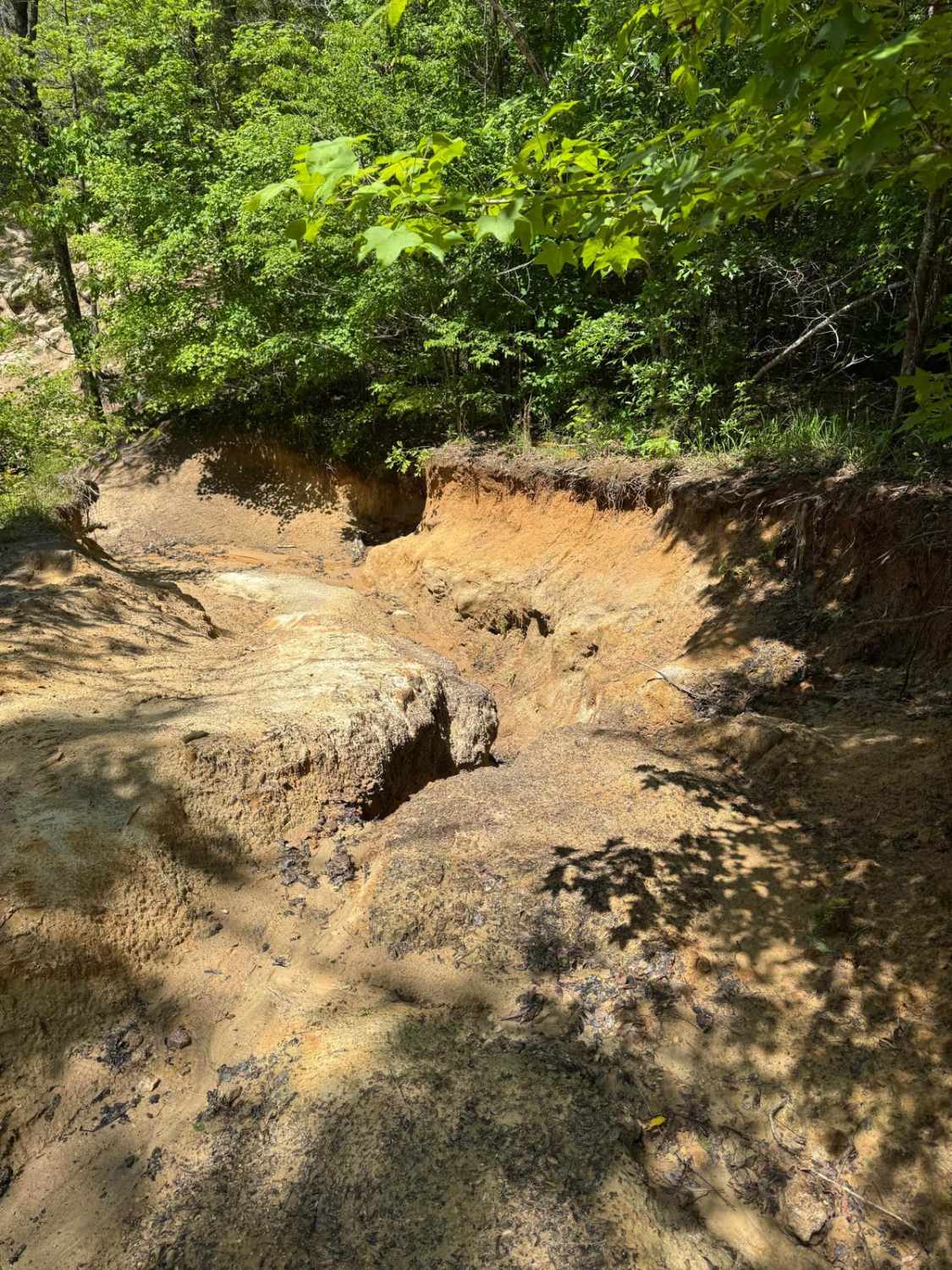Radical Ravine