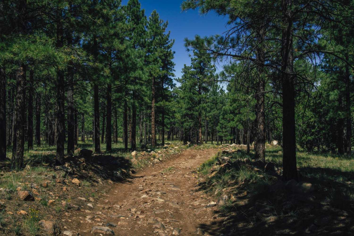 Bear Jaw Canyon